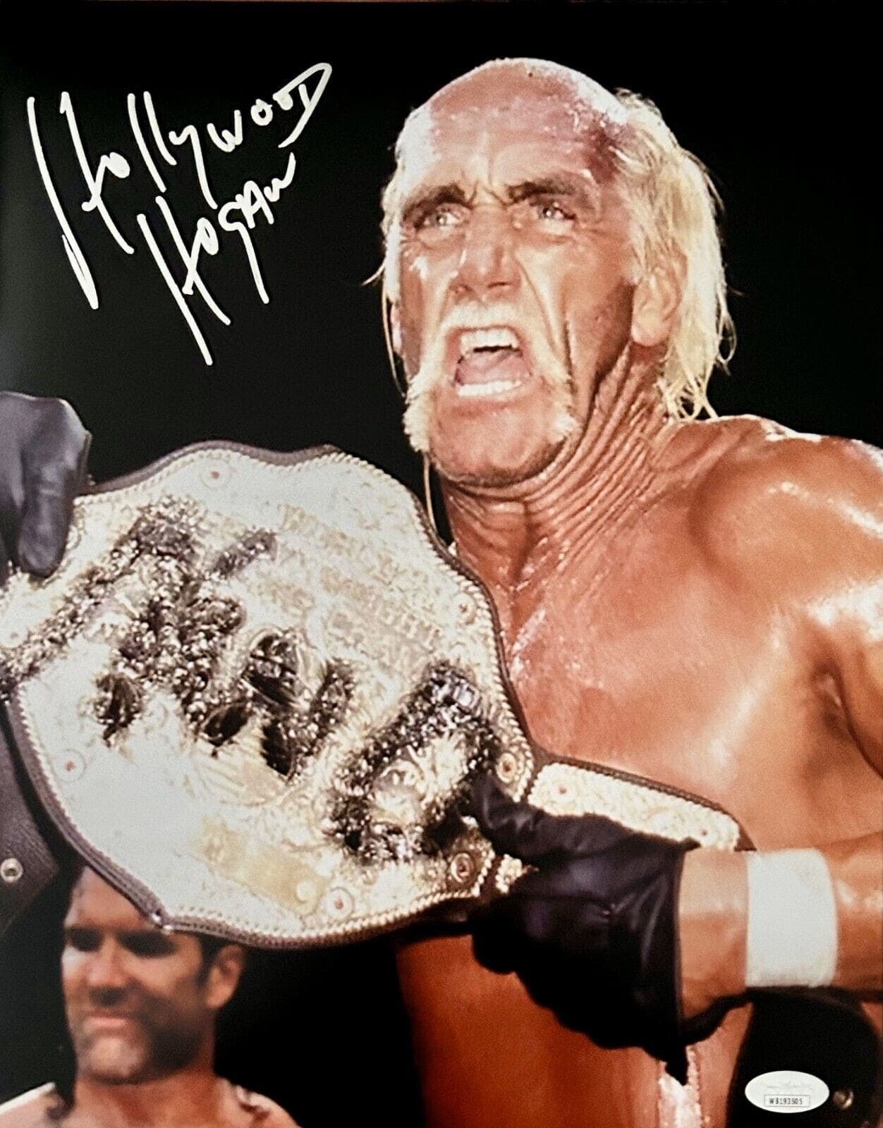 Hollywood Hulk Hogan Signed Autographed Photo 11×14 JSA Authenticated #20 Hulk Hogan Photo 11x14-hollywood-hulk-hogan-11-14-20, supplier stock photo