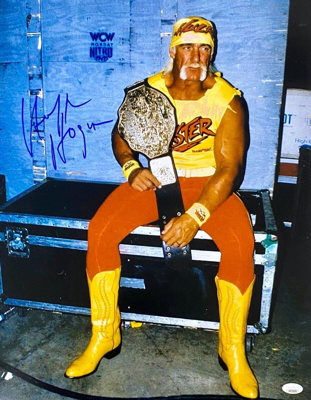 Hulk Hogan Signed Autographed Photo 16×20 JSA Authenticated #1 Hulk Hogan Photo 16x20-hulk-hogan-16-20-1, supplier stock photo
