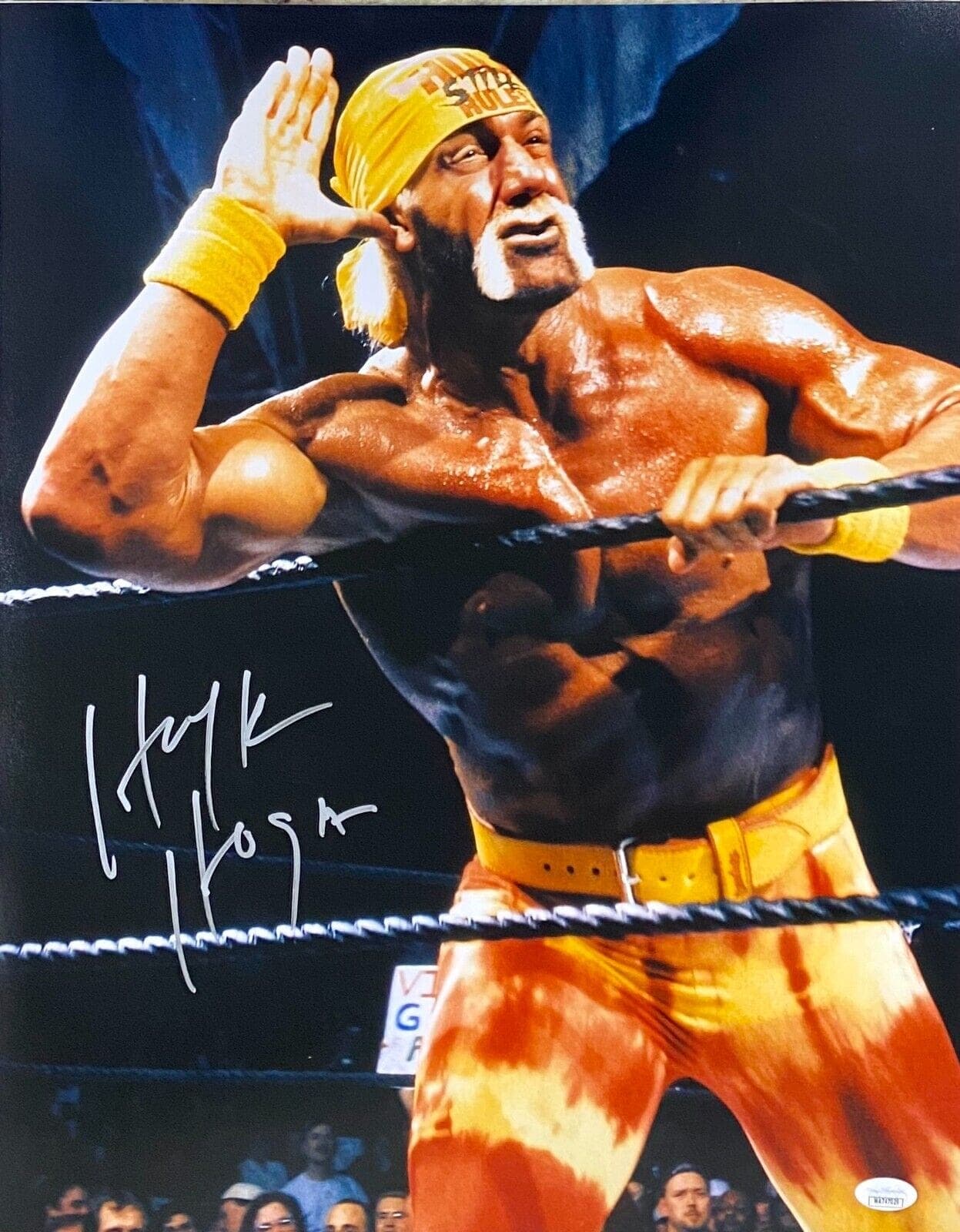 Hulk Hogan Signed Autographed Photo 16×20 JSA Authenticated #2 Hulk Hogan Photo 16x20-hulk-hogan-16-20-2, supplier stock photo