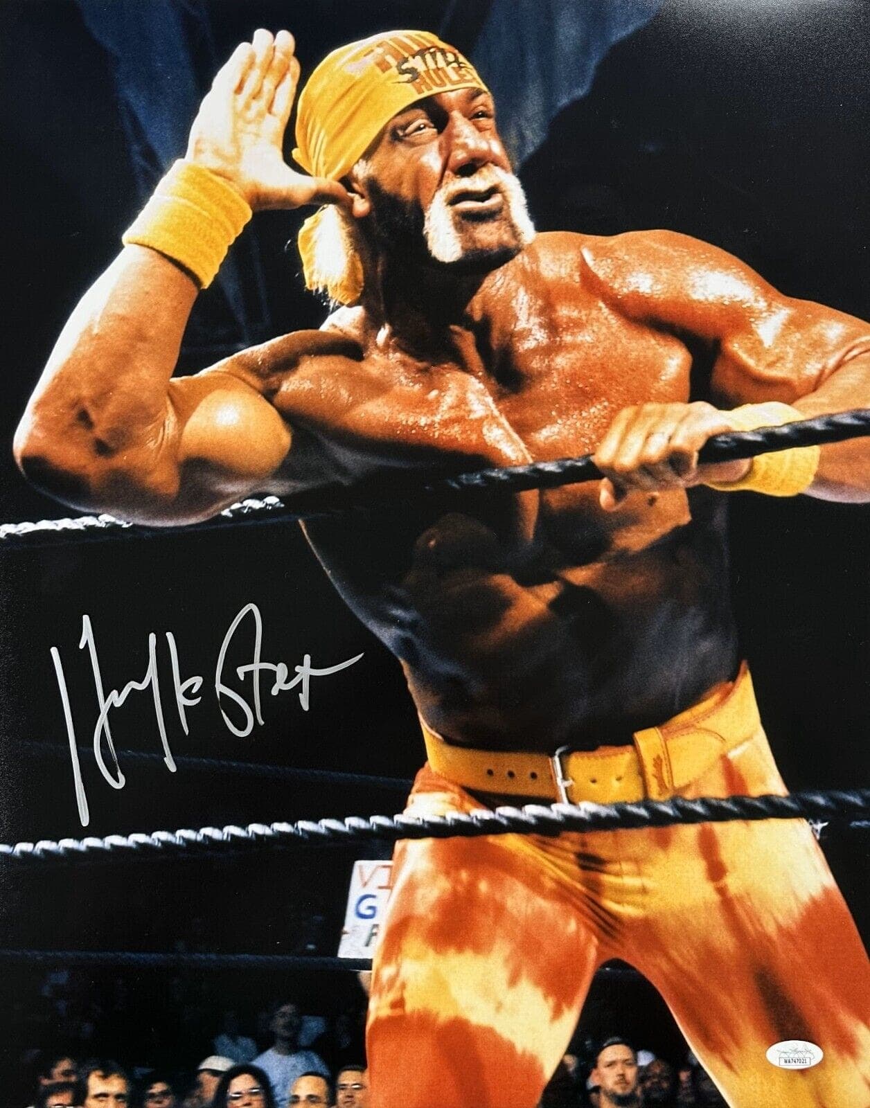 Hulk Hogan “HULKSTER” Signed Autographed Photo 16×20 JSA Authenticated #2 B Hulk Hogan Photo 16x20-hulk-hogan-hulkster-16-20-2, supplier stock photo