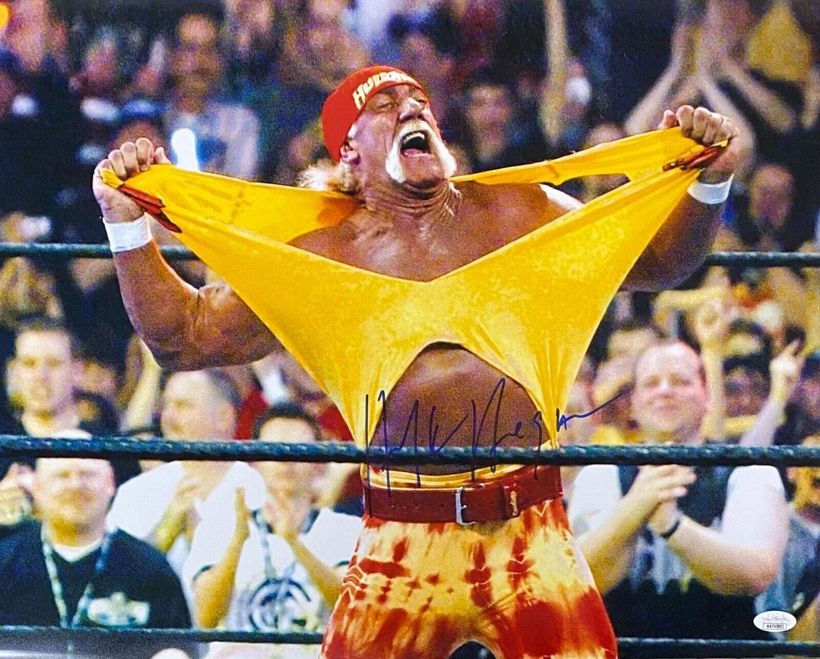Hulk Hogan Signed Autographed Photo 16×20 JSA Authenticated #6 Hulk Hogan Photo 16x20-hulk-hogan-16-20-6, supplier stock photo