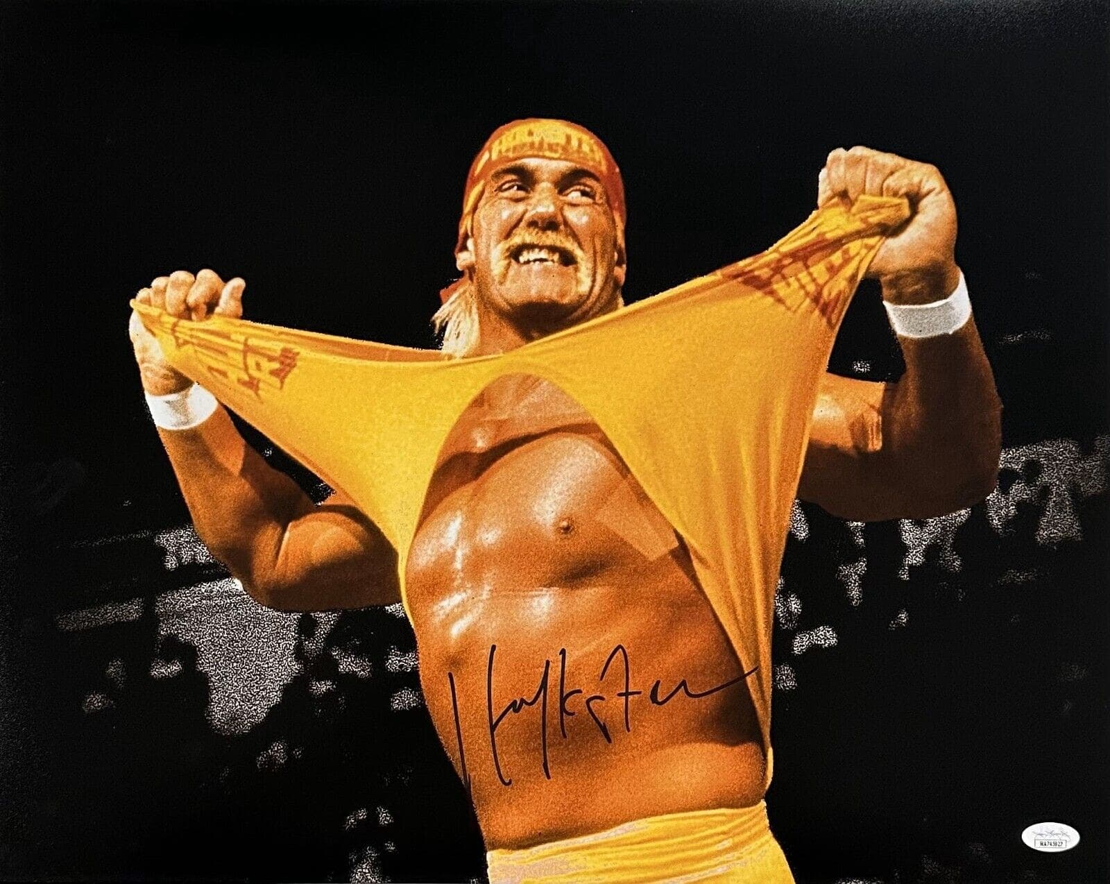 Hulk Hogan “HULKSTER” Signed Autographed Photo 16×20 JSA Authenticated #8 B Hulk Hogan Photo 16x20-hulk-hogan-hulkster-16-20-8, supplier stock photo