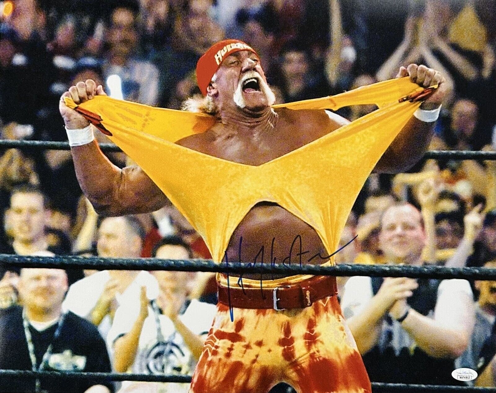 Hulk Hogan “HULKSTER” Signed Autographed Photo 16×20 JSA Authenticated #6 B Hulk Hogan Photo 16x20-hulk-hogan-hulkster-16-20-6, supplier stock photo