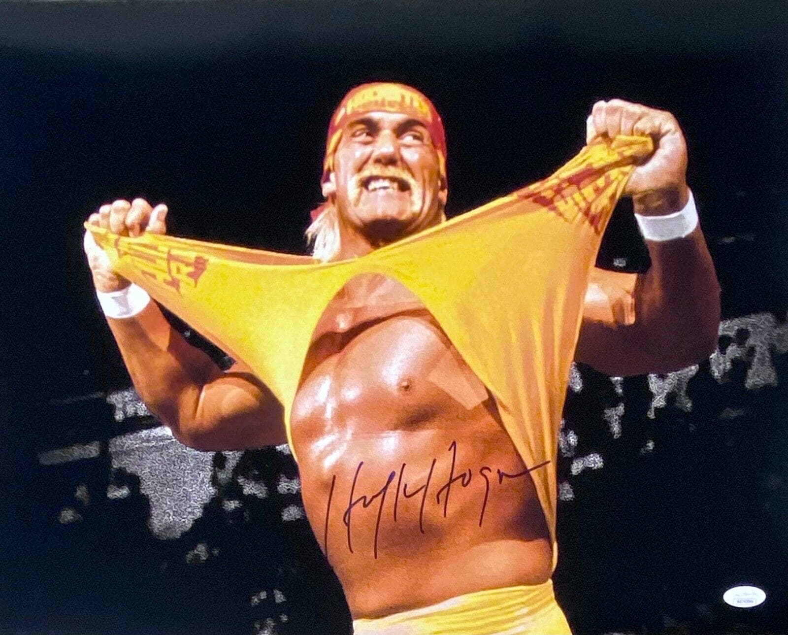 Hulk Hogan Signed Autographed Photo 16×20 JSA Authenticated #8 Hulk Hogan Photo 16x20-hulk-hogan-16-20-8, supplier stock photo