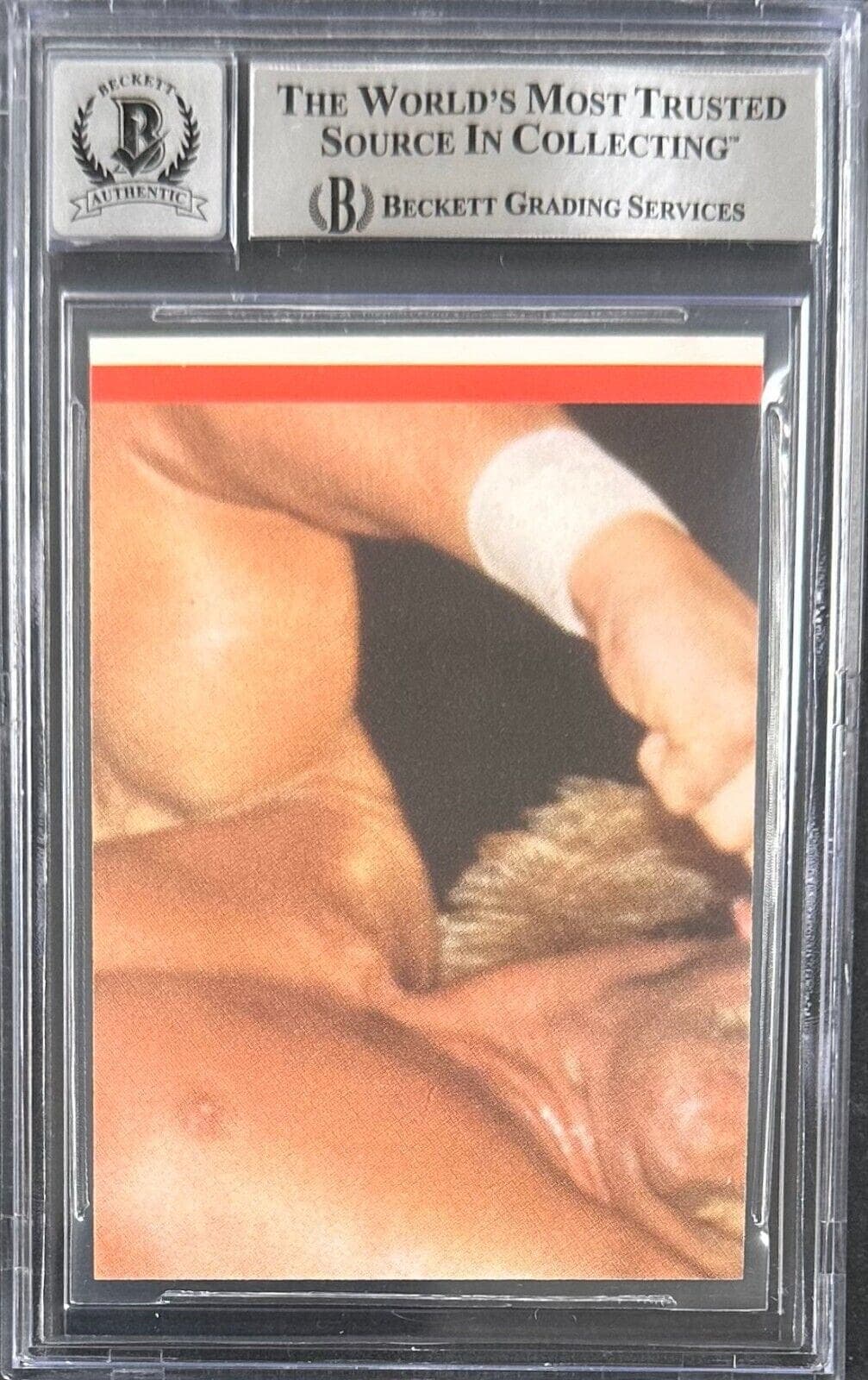Hulk Hogan 1985 Topps WWF Sticker #22 Beckett Authen Auto 10 Hulk Hogan Card 1985-topps-wwf-sticker-22-authen, view 2, supplier stock photo