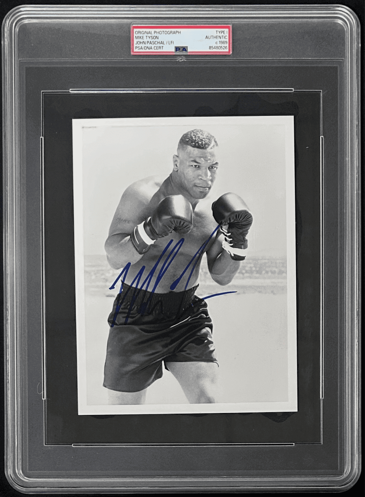 Mike Tyson Signed Original 1989 Type 1 Photograph PSA/DNA Iron Mike Close Up Mike Tyson Photo mike-tyson-original-1989-type-1, supplier stock photo