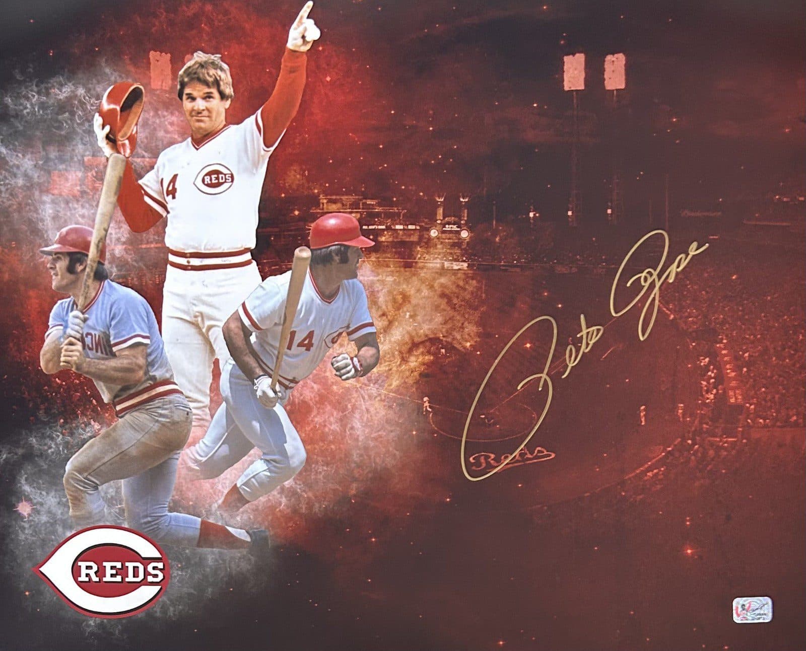 Pete Rose Signed Autographed 16×20 Photo Pete Rose Exclusive Hologram REDS 10 Pete Rose Photo 16x20-pete-rose-16-20-hologram-10, Cincinnati Reds, supplier stock photo