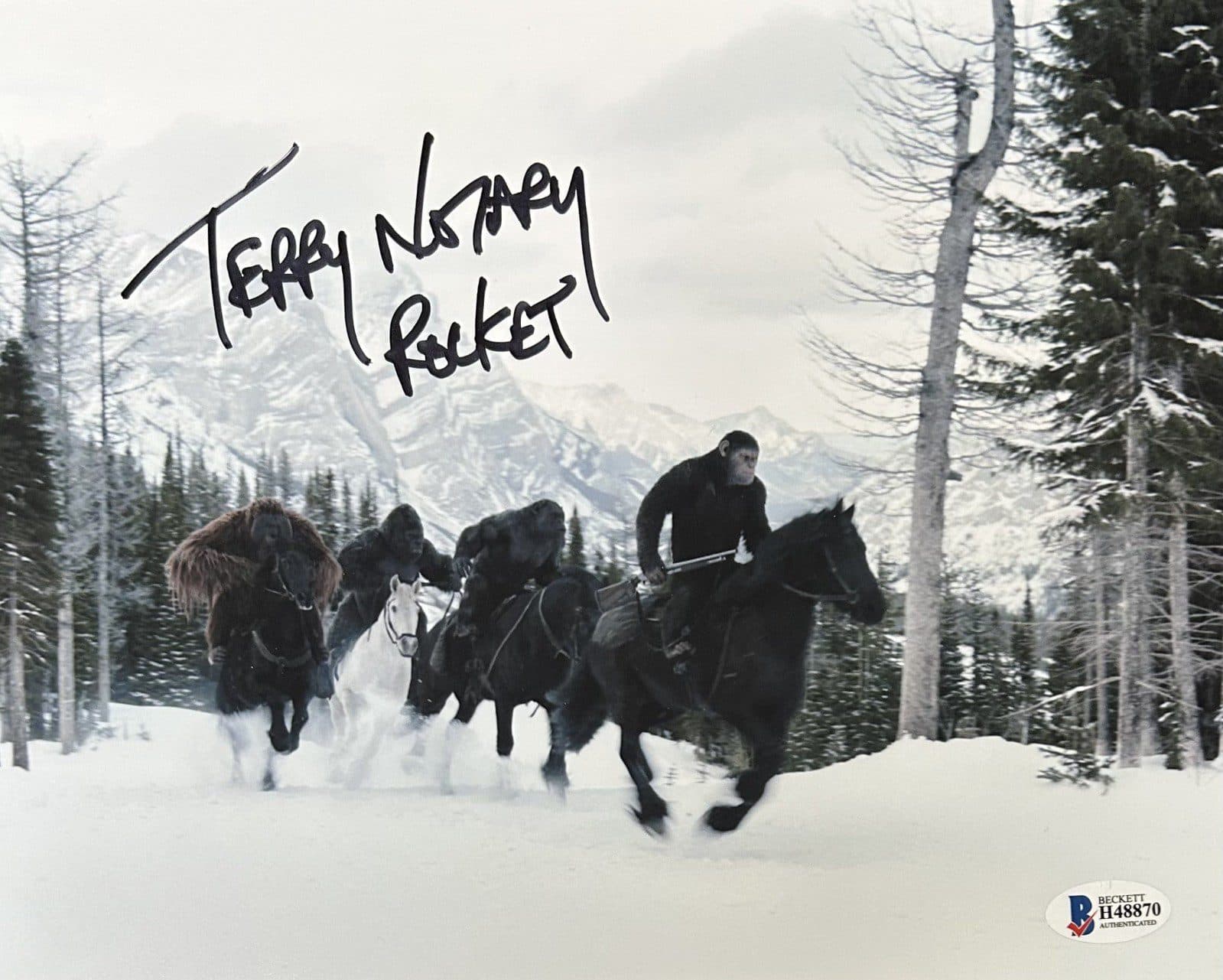 TERRY NOTARY SIGNED 8×10 PHOTO BECKETT ROCKET “WAR FOR THE PLANET OF THE APES” Terry Notary Photo 8x10-terry-notary-8-10-rocket-war, supplier stock photo