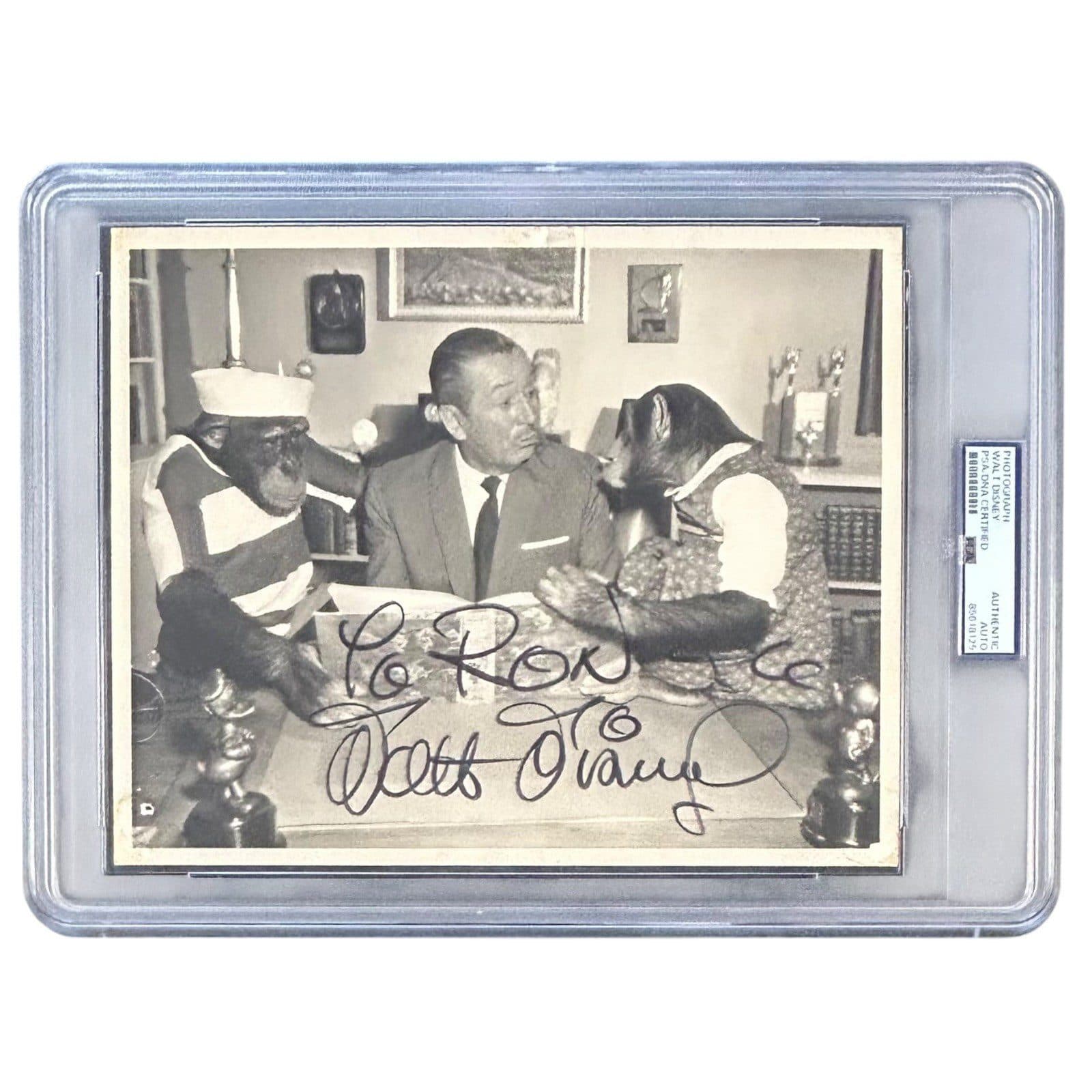 WALT DISNEY AUTOGRAPHED 8×10 PHOTOGRAPH PSA/DNA SLABBED 85618125 Walt Disney Card 8x10-85618125, supplier stock photo