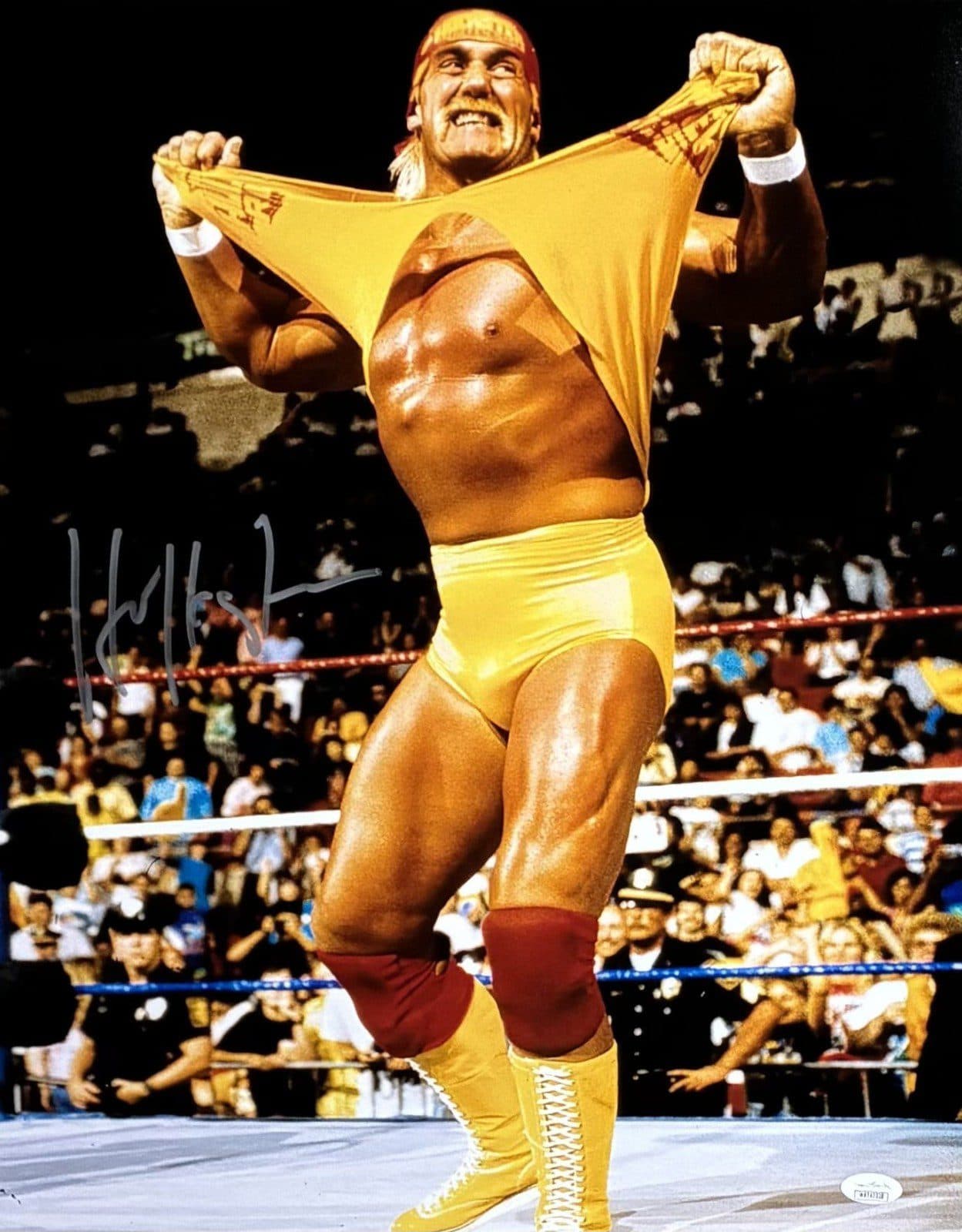 HULK HOGAN ” HULKSTER” AUTOGRAPHED 16×20 PHOTO JSA AUTHENTICATED #7B Hulk Hogan Photo 16x20-hulk-hogan-hulkster-16-20-7b, supplier stock photo