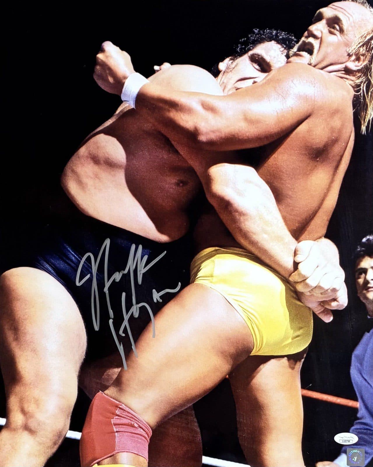 HULK HOGAN AUTOGRAPHED 16×20 PHOTO JSA AUTHENTICATED #3A Hulk Hogan Photo 16x20-hulk-hogan-16-20-3a, supplier stock photo