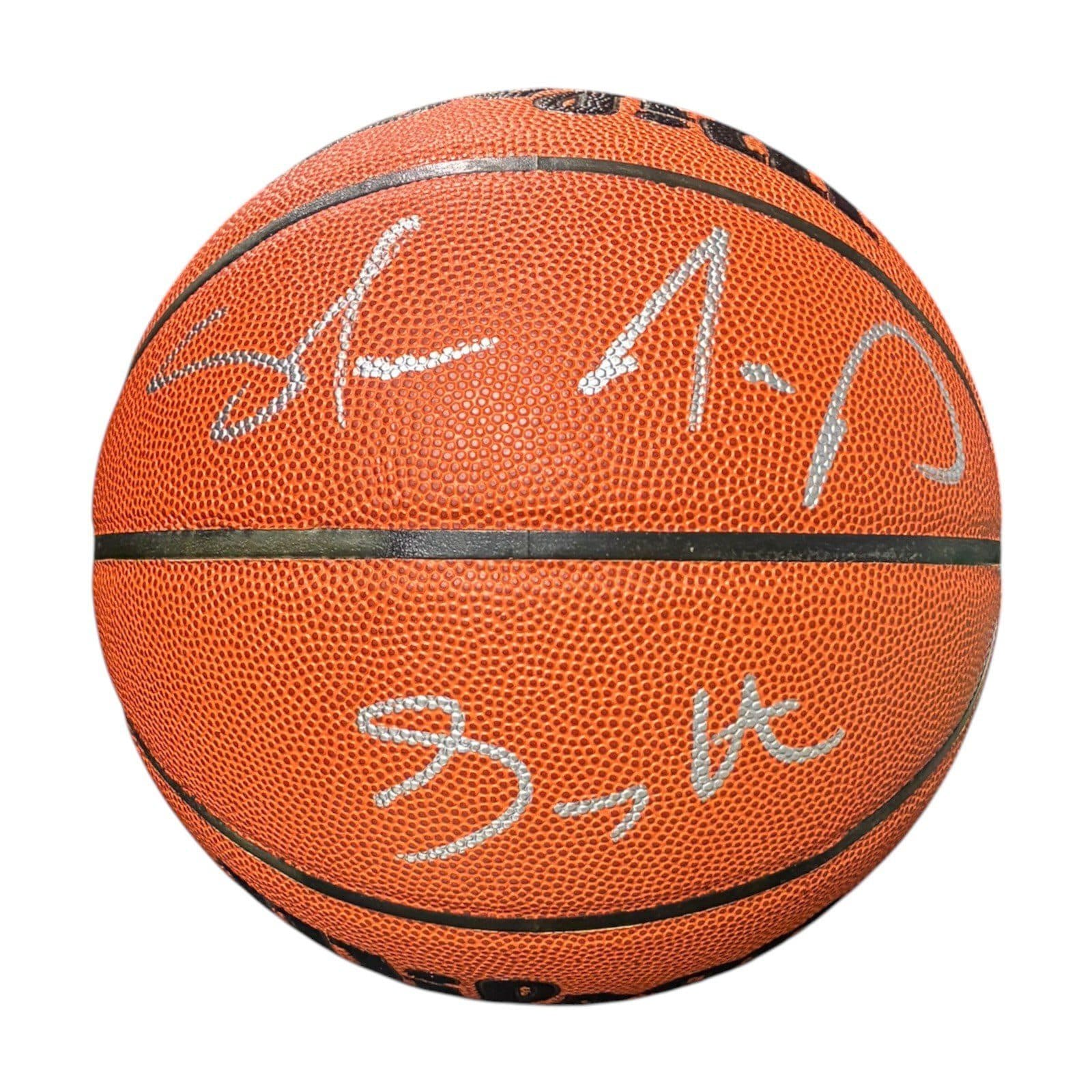 SHAWN KEMP & GARY PAYTON AUTOGRAPHED WILSON BASKETBALL JSA AUTHENTICATED Gary Payton Ball shawn-kemp-gary-payton-wilson-basketball, Seattle Supersonics, supplier stock photo