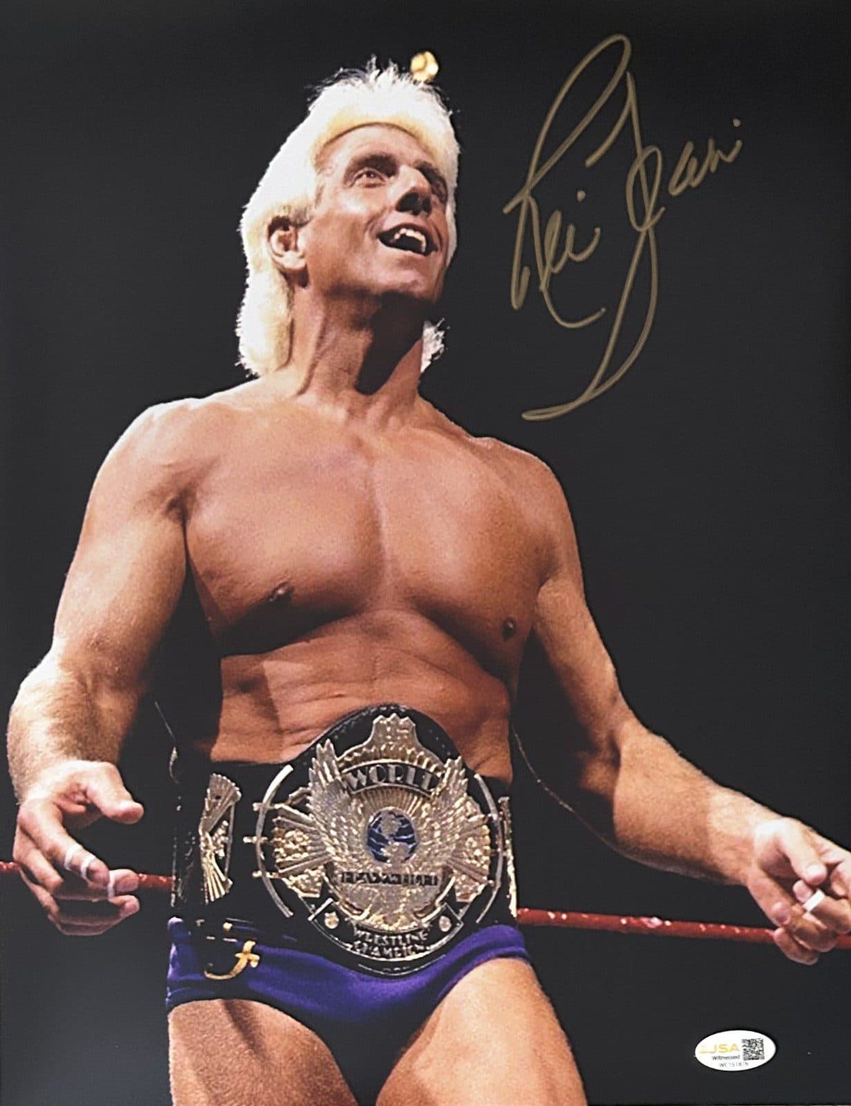 RIC FLAIR AUTOGRAPHED 11×14 PHOTO JSA WWE WCW #18 GOLD Ric Flair Photo 11x14-ric-flair-11-14-wwe-wcw, supplier stock photo