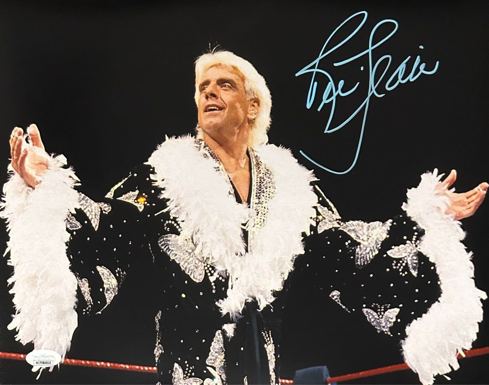 RIC FLAIR AUTOGRAPHED 11×14 PHOTO JSA WWE WCW #11 Light Blue Paint Ric Flair Photo 11x14-ric-flair-11-14-wwe-wcw, supplier stock photo