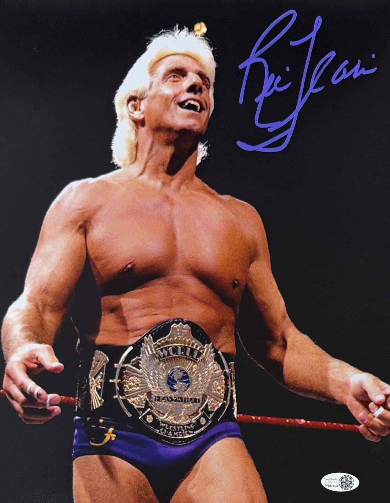 RIC FLAIR AUTOGRAPHED 11×14 PHOTO JSA WWE WCW #18 Purple Ric Flair Photo 11x14-ric-flair-11-14-wwe-wcw, supplier stock photo