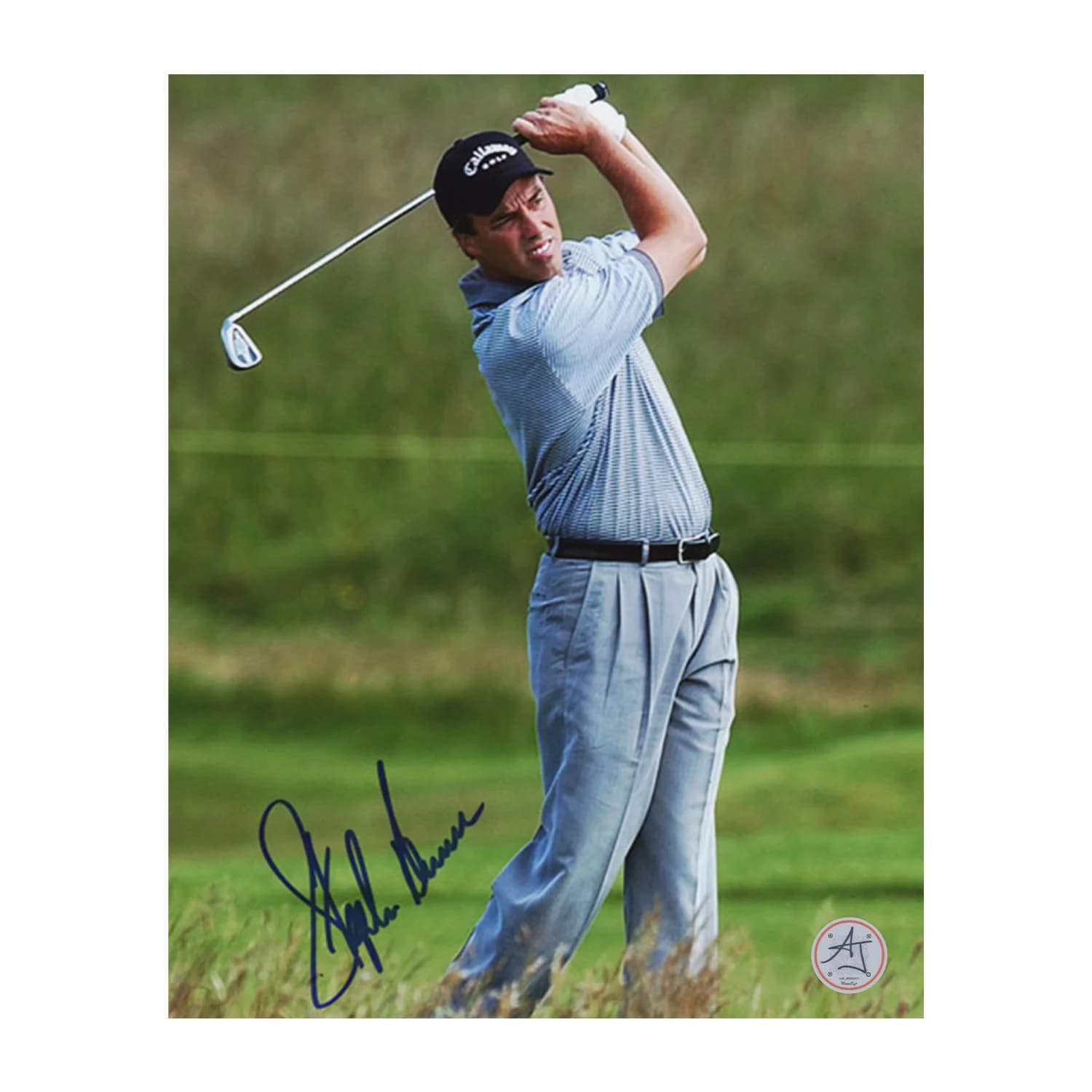 Stephen Ames Autographed Golf 8x10 Photo Stephen Ames Photo 8x10-golf, supplier stock photo