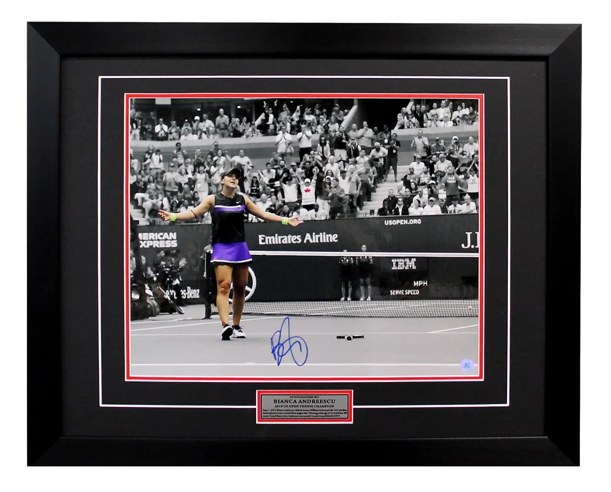 Bianca Andreescu Autographed 2019 US Open Tennis Match Point 26x32 Frame Bianca Andreescu Other 26x32-2019-us-open-tennis-match-point, supplier stock photo