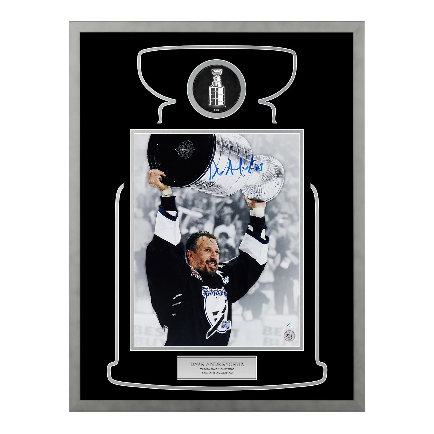 Dave Andreychuk Signed Tampa Bay Lightning Cup Champion 20x26 Frame Dave Andreychuk Other 20x26-cup-champion-frame, Tampa Bay Lightning, supplier stock photo
