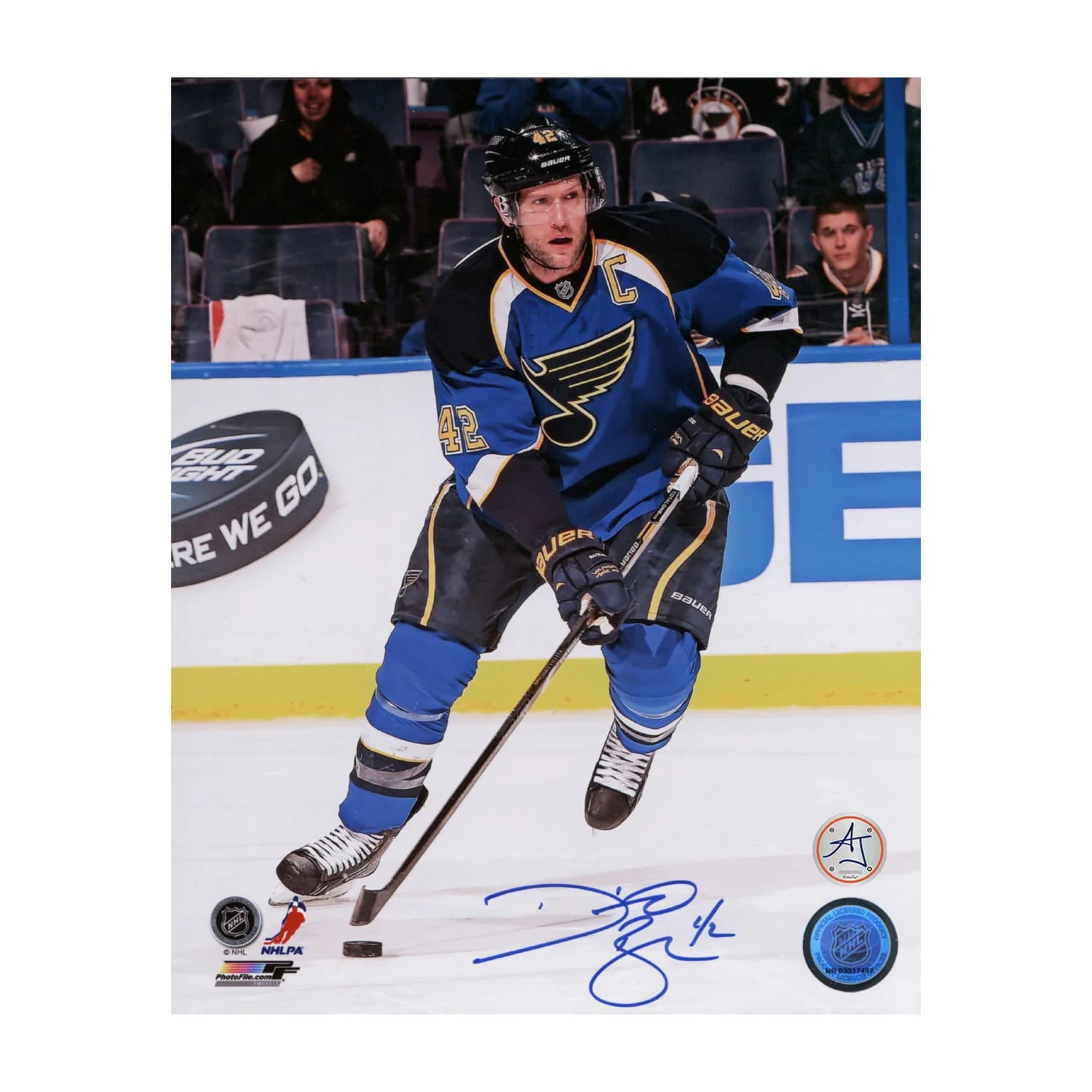 David Backes Autographed St Louis Blues Captain 8x10 Photo David Backes Photo 8x10-captain, St. Louis Blues, supplier stock photo