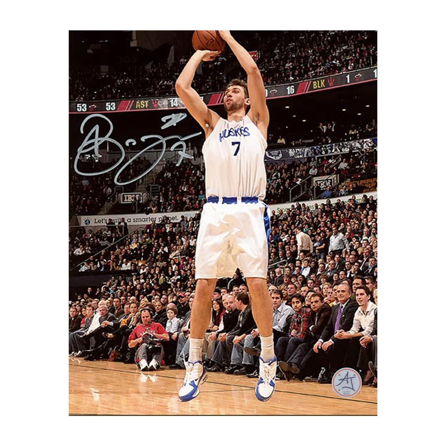 Andrea Bargnani Autographed Toronto Huskies Basketball 8x10 Photo Andrea Bargnani Photo 8x10-andrea-bargnani-toronto-huskies-basketball, supplier stock photo