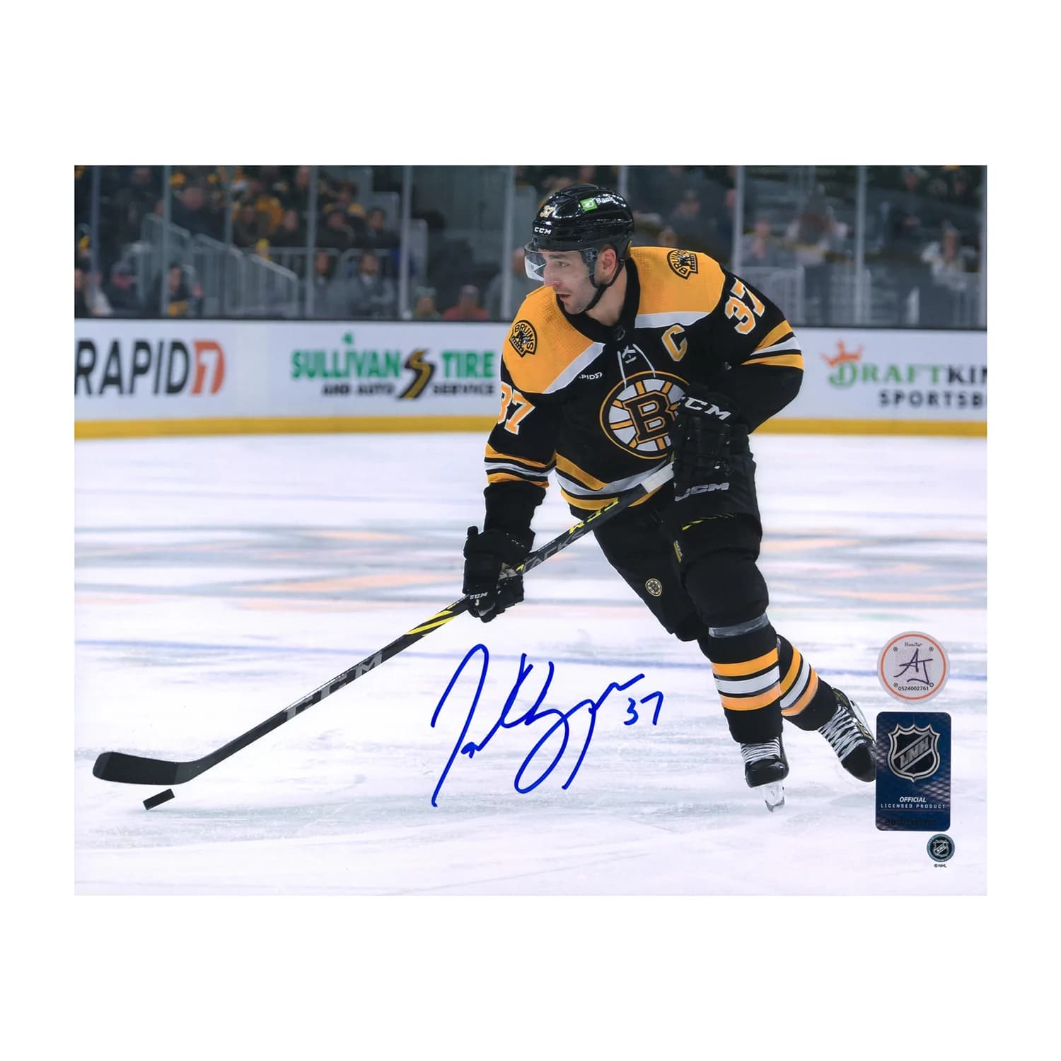 Patrice Bergeron Autographed Boston Bruins Captain 8x10 Photo Patrice Bergeron Photo 8x10-patrice-bergeron-boston-bruins-captain, Boston Bruins, supplier stock photo