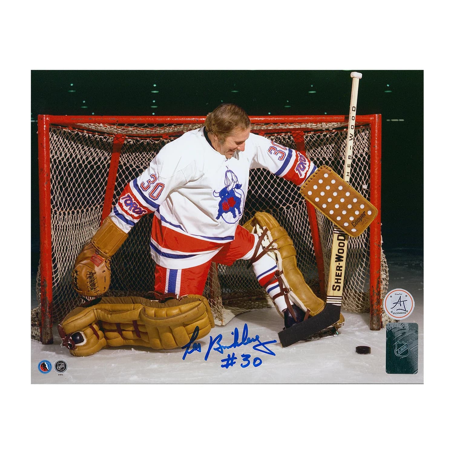 Les Binkley Autographed Toronto Toros Between The Pipes 8x10 Photo Les Binkley Photo 8x10-toronto-toros-between-pipes, supplier stock photo