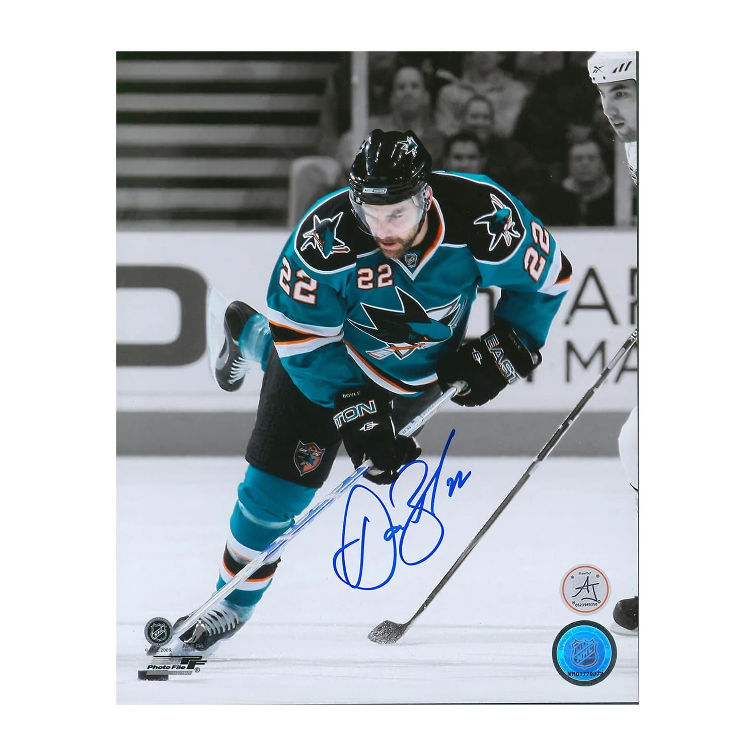 Dan Boyle Autographed San Jose Sharks colour Isolation 8x10 Photo Dan Boyle Photo 8x10-colour-isolation, San Jose Sharks, supplier stock photo