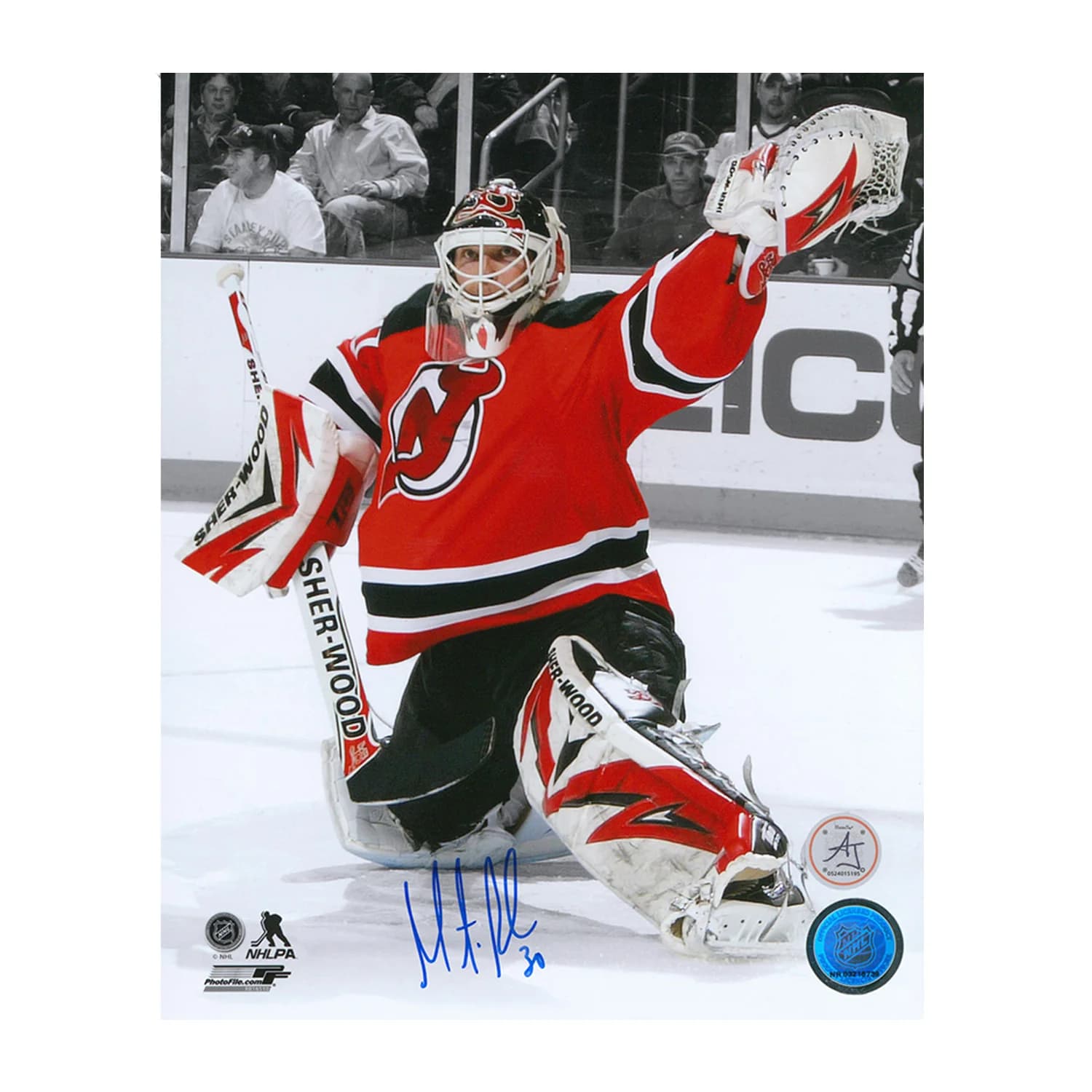 Martin Brodeur Signed New Jersey Devils Color Isolation 8x10 Photo Martin Brodeur Jersey 8x10-color-isolation, New Jersey Devils, supplier stock photo