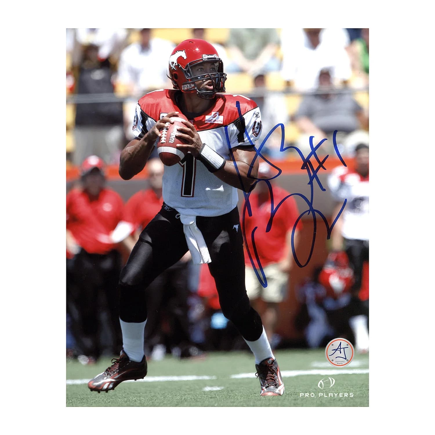 Henry Burris Autographed Calgary Stampeders Quarterback 8x10 Photo Henry Burris Photo 8x10-calgary-stampeders-quarterback, supplier stock photo