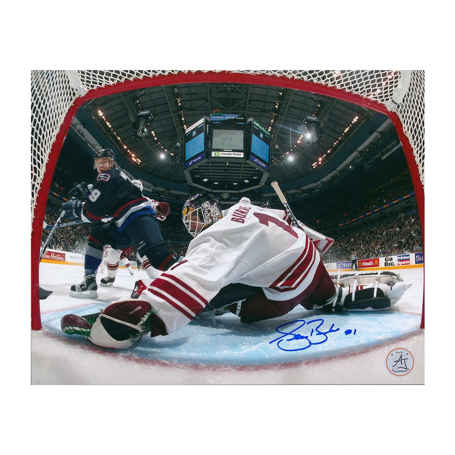 Sean Burke Phoenix Coyotes Autographed Goalie Netcam 8x10 Photo Sean Burke Photo 8x10-phoenix-goalie-netcam, Arizona Coyotes, supplier stock photo