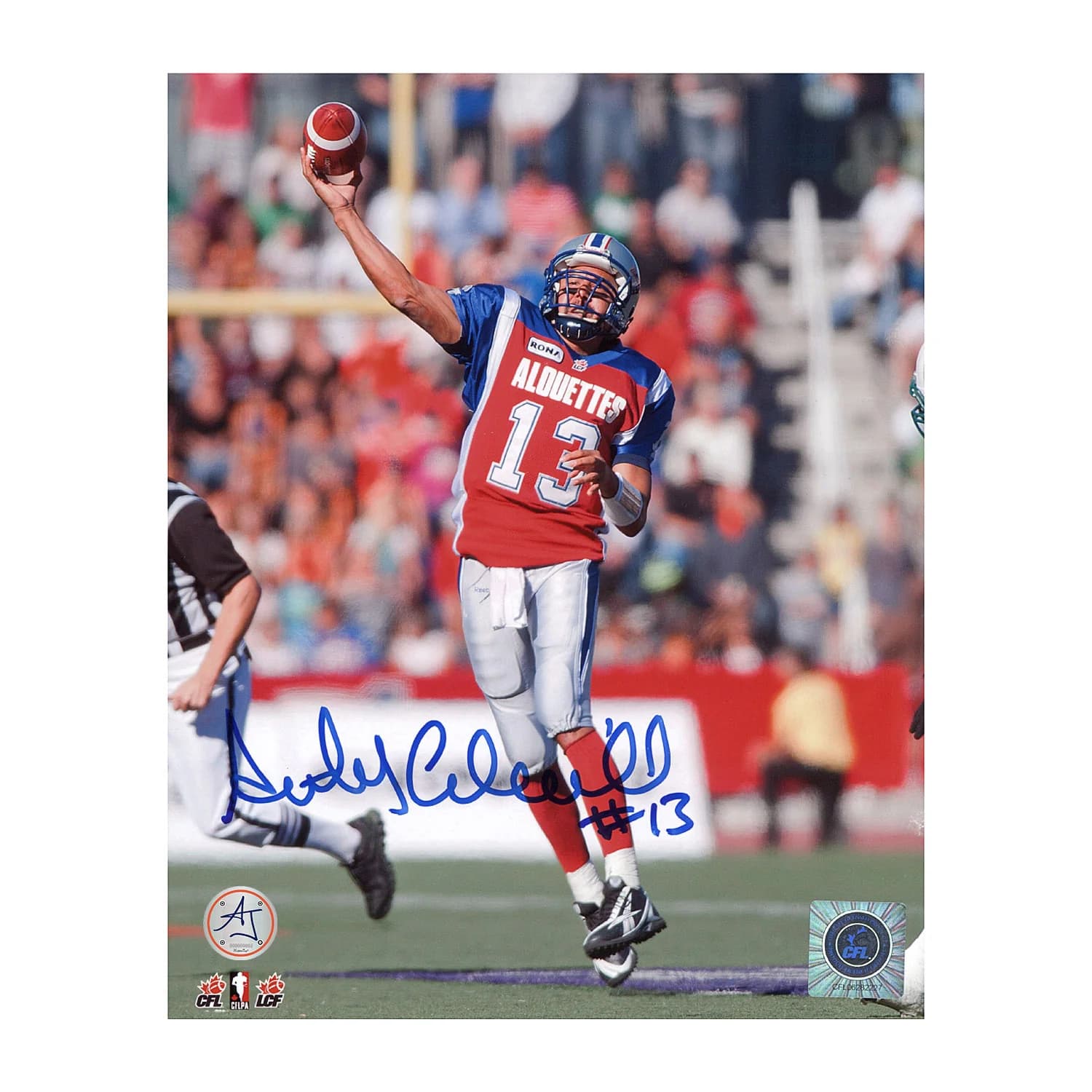 Anthony Calvillo Autographed Montreal Alouettes Quarterback 8x10 Photo Anthony Calvillo Photo 8x10-montreal-alouettes-quarterback, supplier stock photo