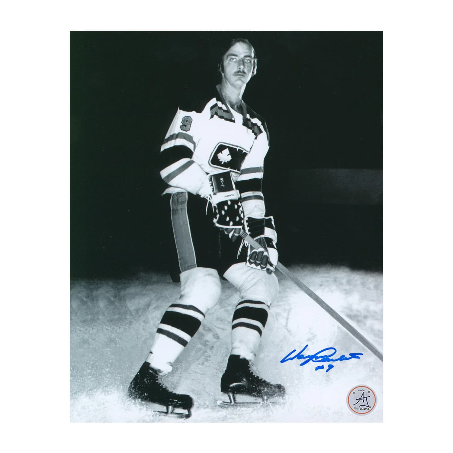 Wayne Carleton Ottawa Nationals Autographed WHA 8x10 Photo Wayne Carleton Photo 8x10-ottawa-nationals-wha, supplier stock photo