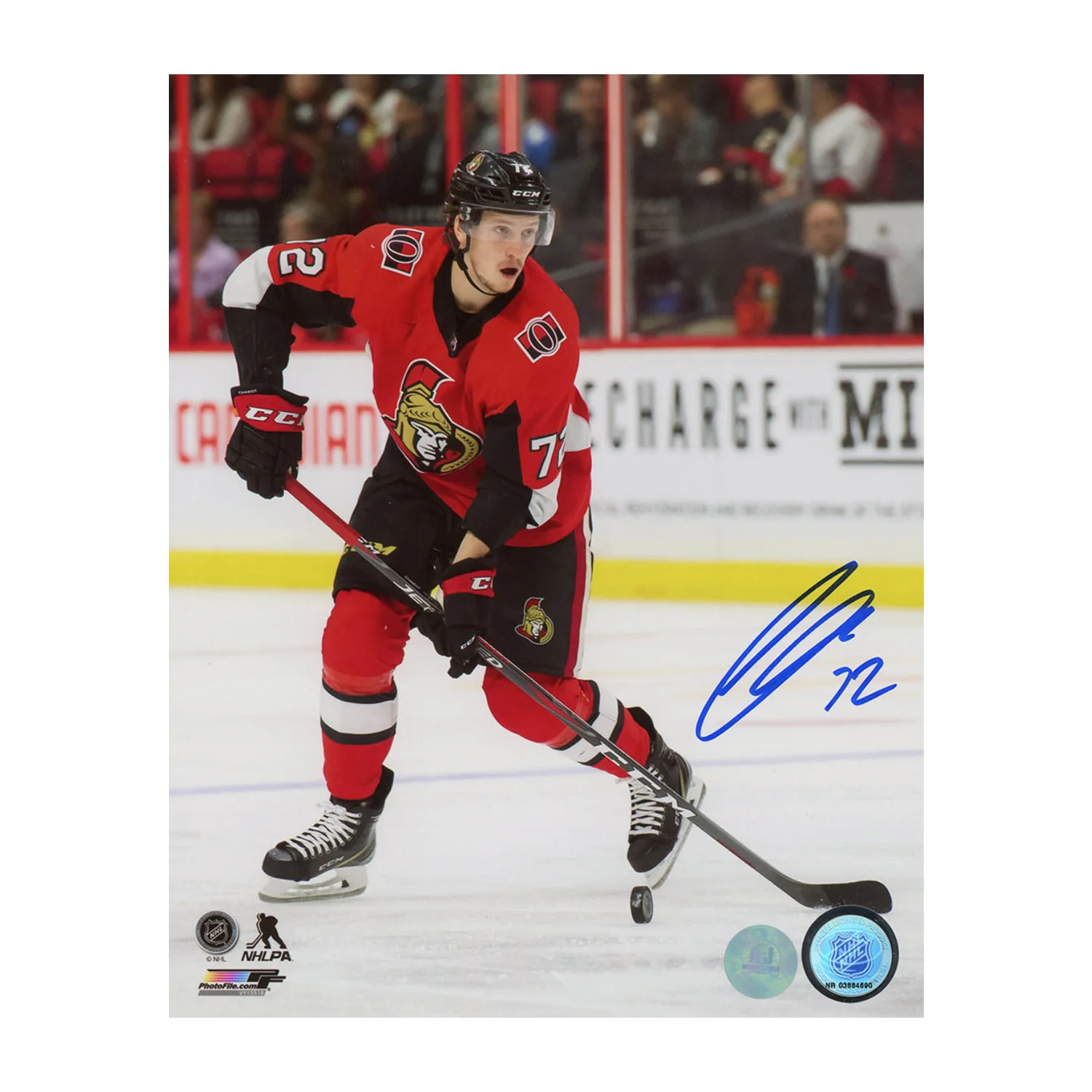 Thomas Chabot Autographed Ottawa Senators Game Action 8x10 Photo Thomas Chabot Photo 8x10-game-action, Ottawa Senators, supplier stock photo