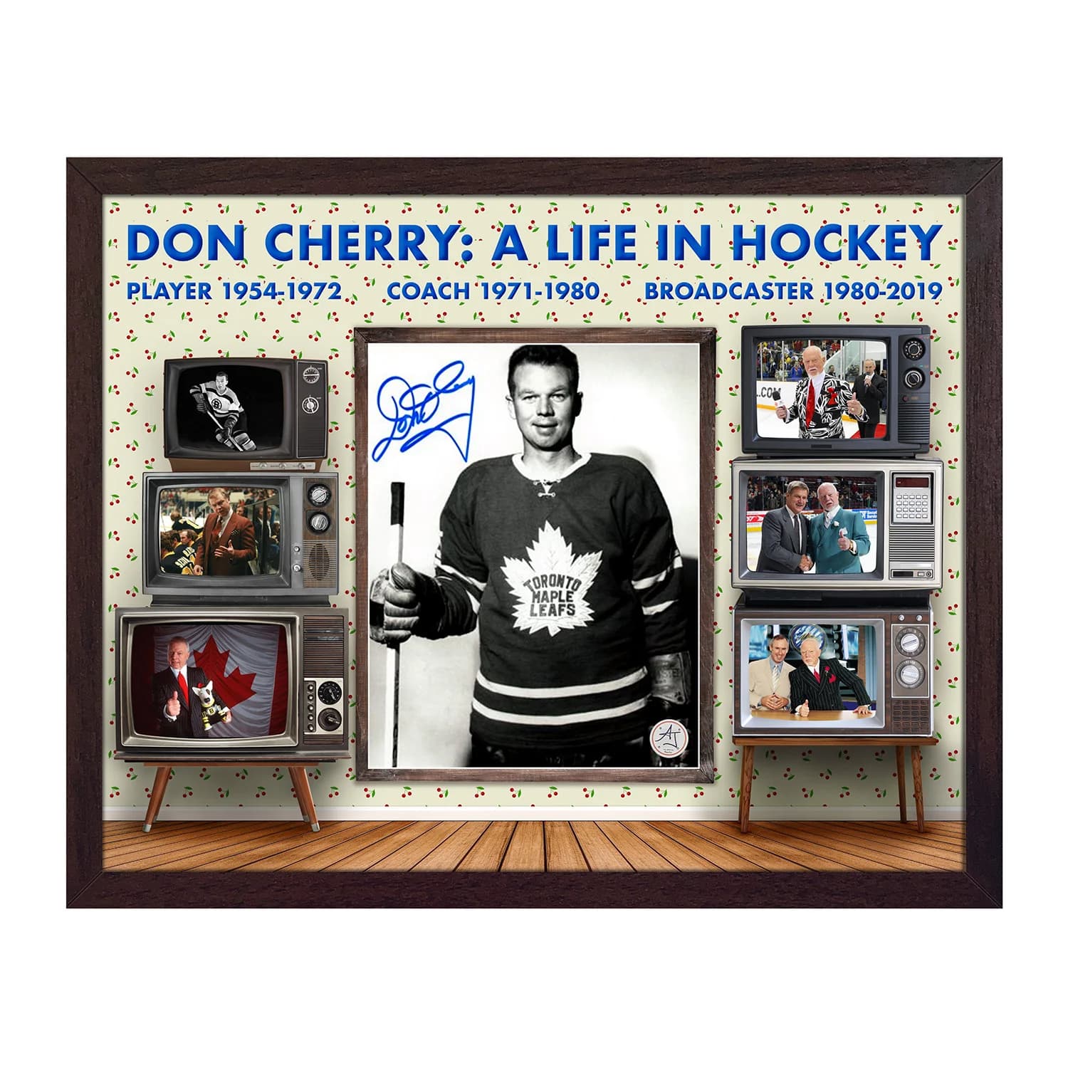 Don Cherry Signed Life In Hockey Classic TV 25x31 Graphic Frame Don Cherry Other 25x31-life-hockey-classic-tv-graphic-frame, supplier stock photo