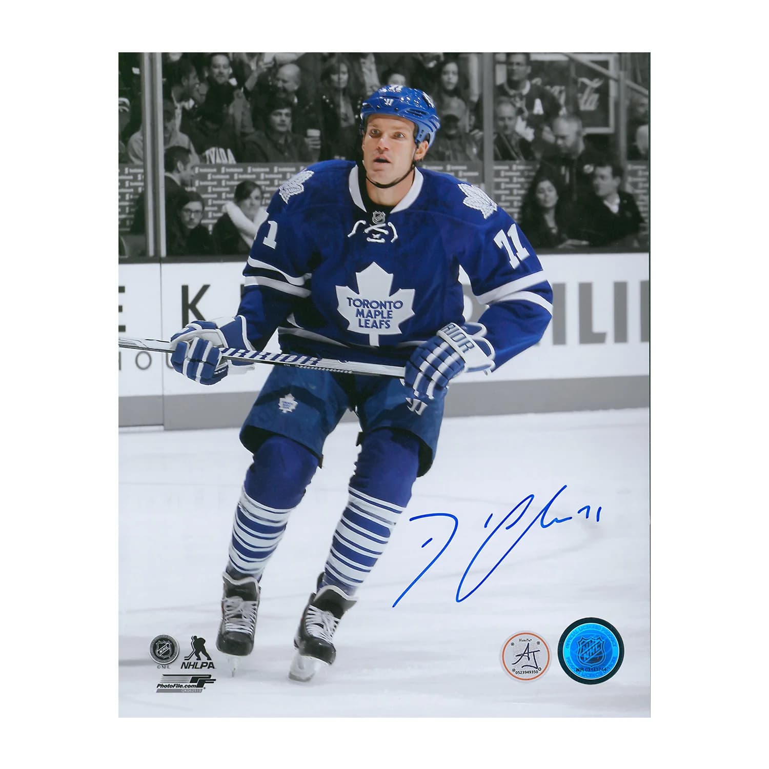 David Clarkson Signature Toronto Maple Leafs colour Isolation 8x10 Photo David Clarkson Photo 8x10-colour-isolation, Toronto Maple Leafs, supplier stock photo