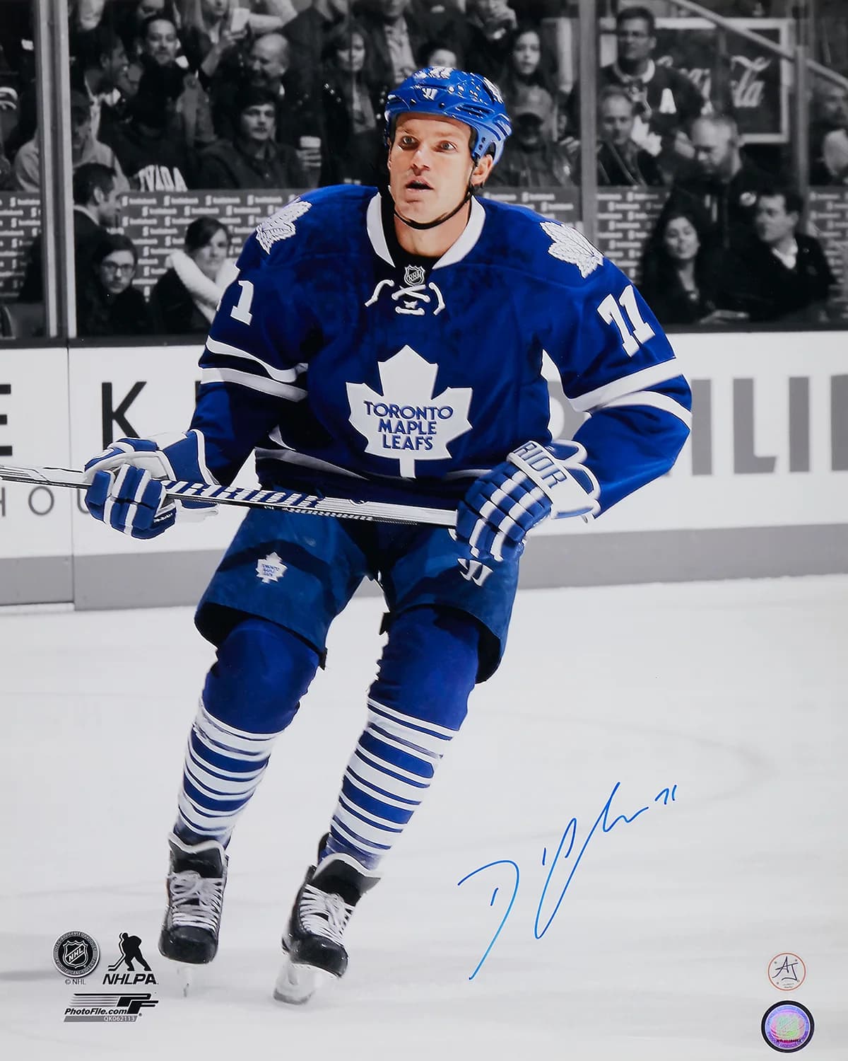 David Clarkson Signed Toronto Maple Leafs Isolation 16x20 Photo David Clarkson Photo 16x20-david-clarkson-toronto-maple-leafs, Toronto Maple Leafs, supplier stock photo