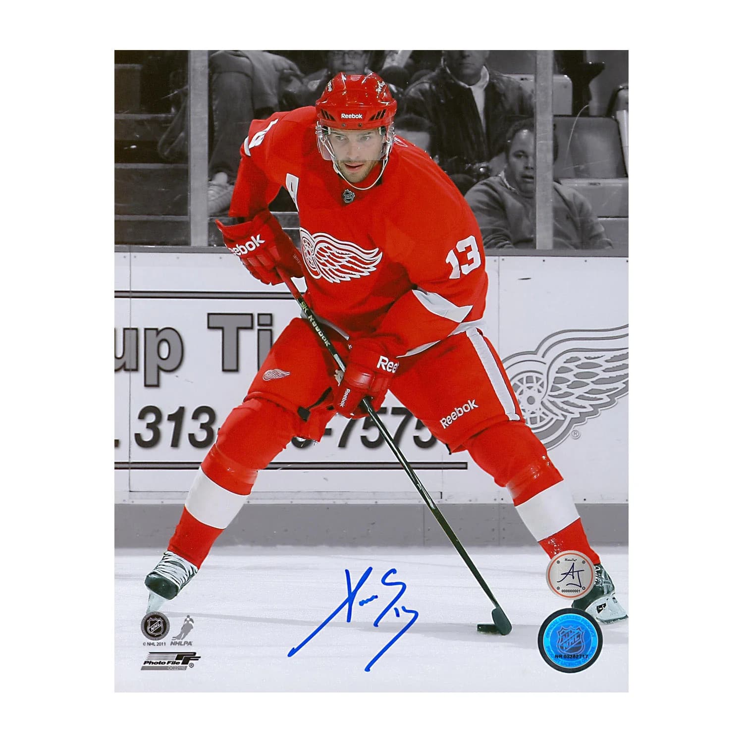 Pavel Datsyuk Autographed Detroit Red Wings Color Isolation 8x10 Photo Pavel Datsyuk Photo 8x10-color-isolation, Detroit Red Wings, supplier stock photo