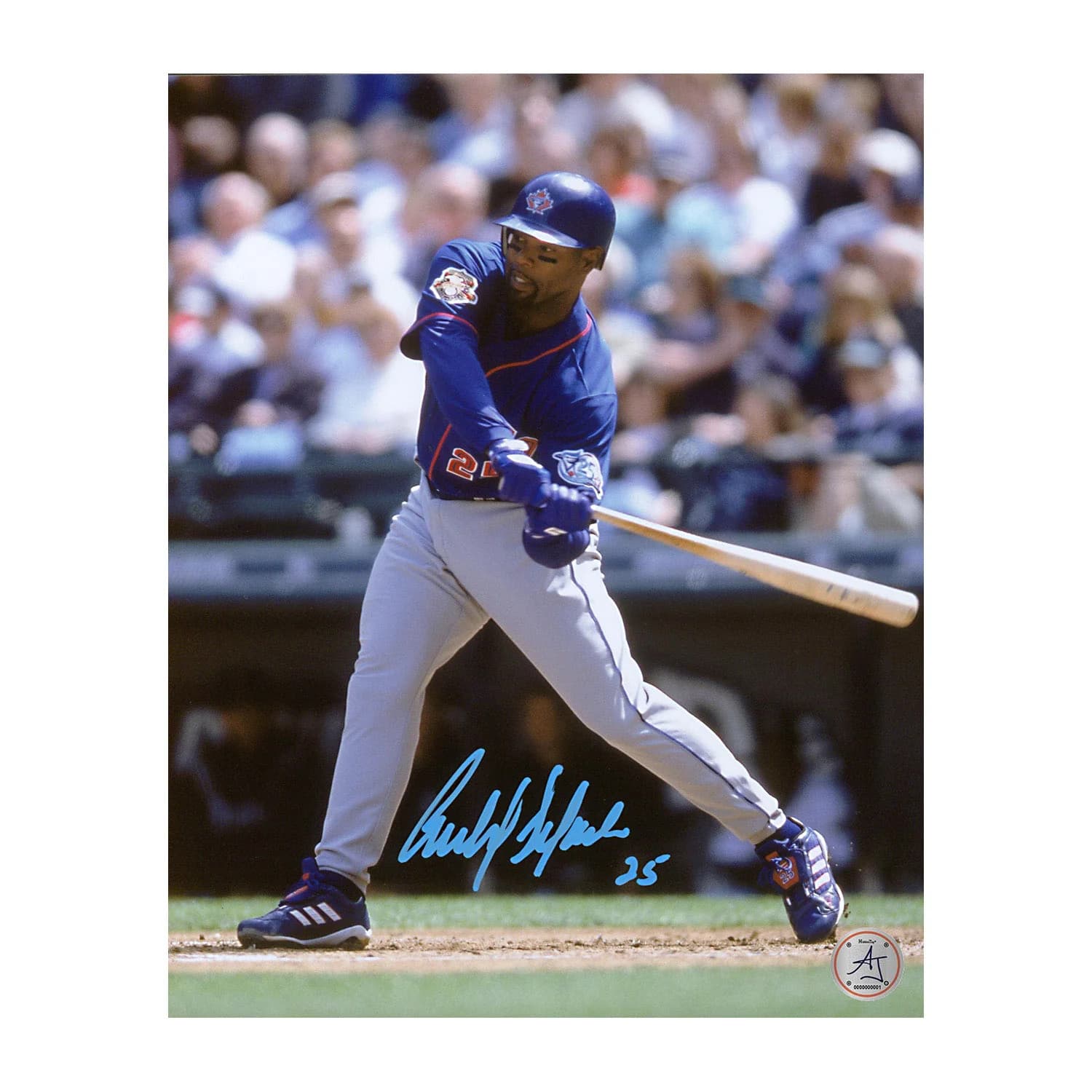 Carlos Delgado Autographed Toronto Blue Jays 8x10 Photo Carlos Delgado Photo 8x10-toronto-blue-jays, supplier stock photo