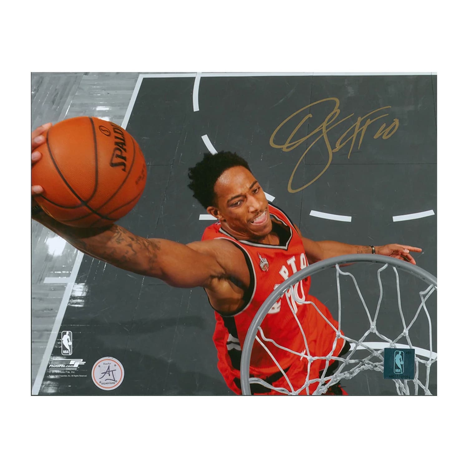 DeMar DeRozan Signed Toronto Raptors Netcam Dunk 8x10 Photo DeMar DeRozan Photo 8x10-toronto-raptors-netcam-dunk, supplier stock photo