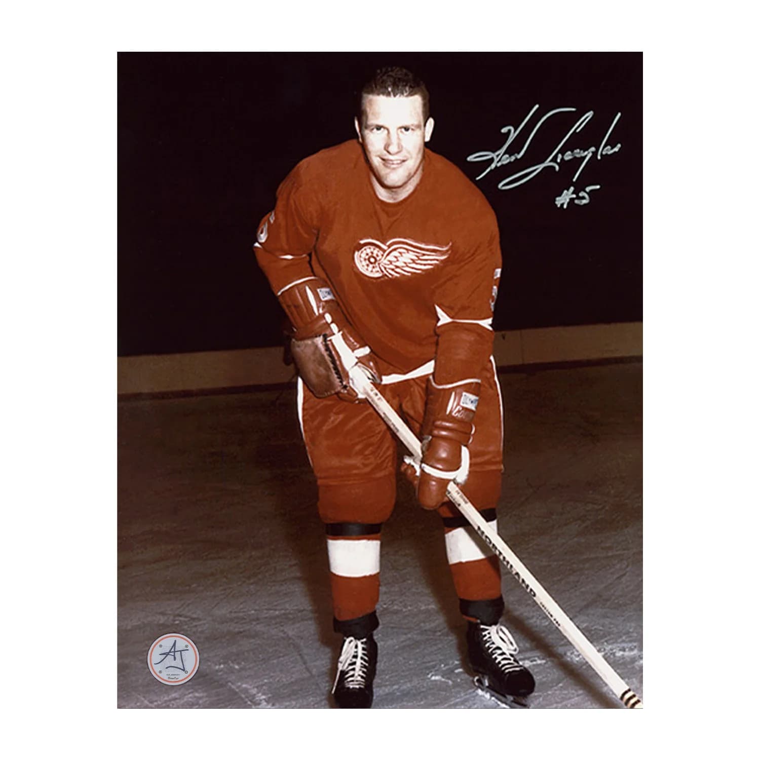 Kent Douglas Autographed Detroit Red Wings Hockey 8x10 Photo Kent Douglas Photo 8x10-hockey, Detroit Red Wings, supplier stock photo