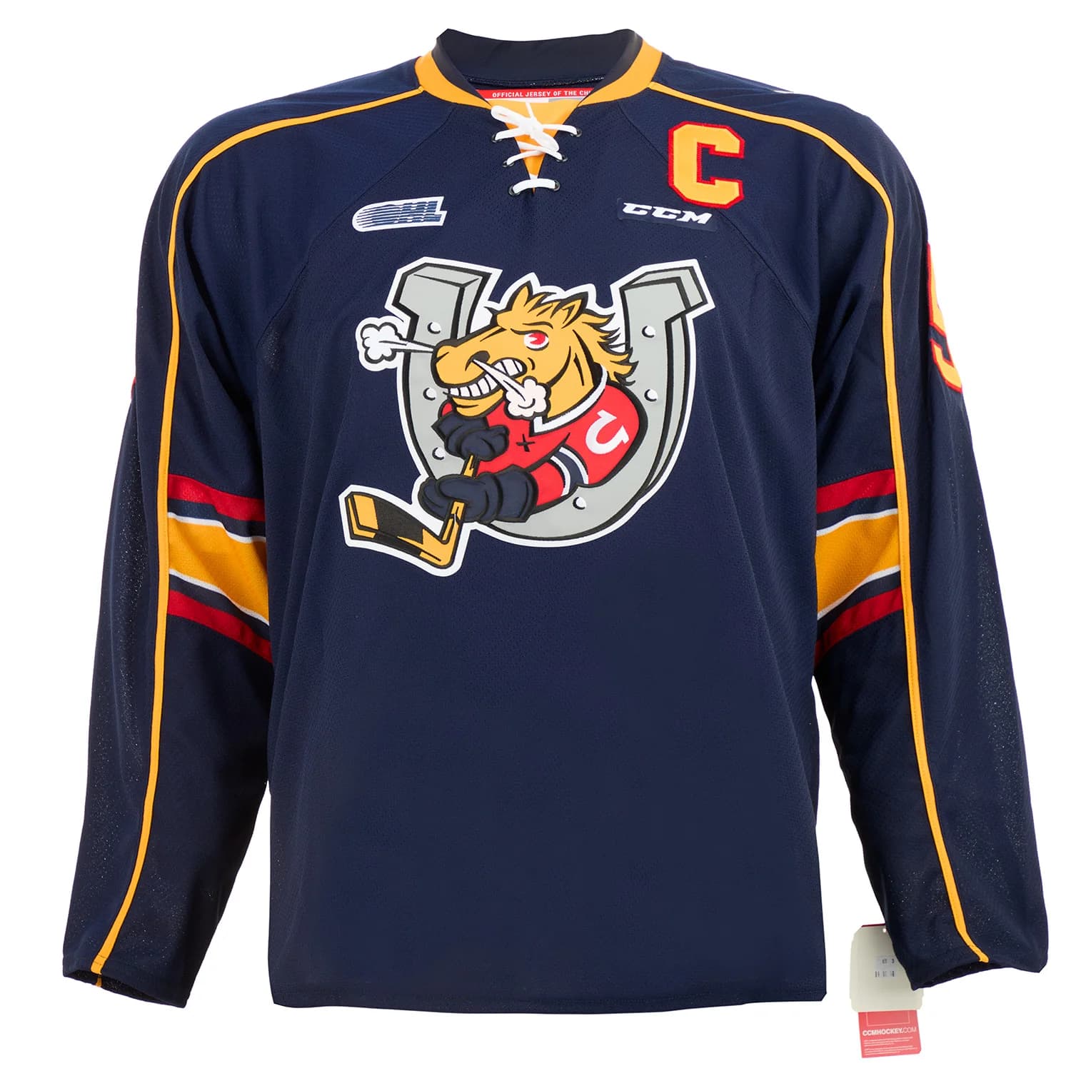 Aaron Ekblad Barrie Colts Autographed CHL Hockey Jersey Aaron Ekblad Jersey barrie-colts-chl-hockey, view 2, supplier stock photo