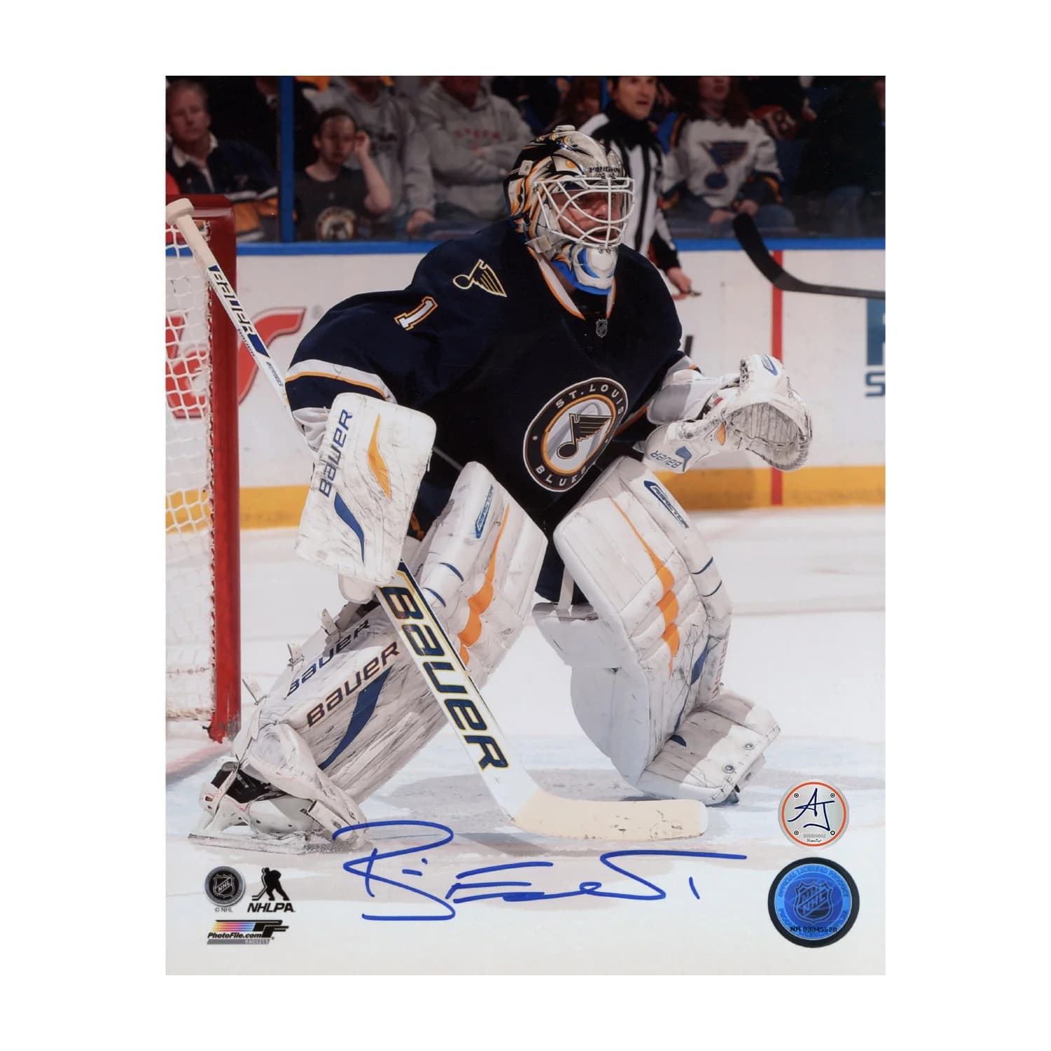 Brian Elliott St Louis Blues Autographed Goalie Action 8x10 Photo Brian Elliott Photo 8x10-goalie-action, St. Louis Blues, supplier stock photo
