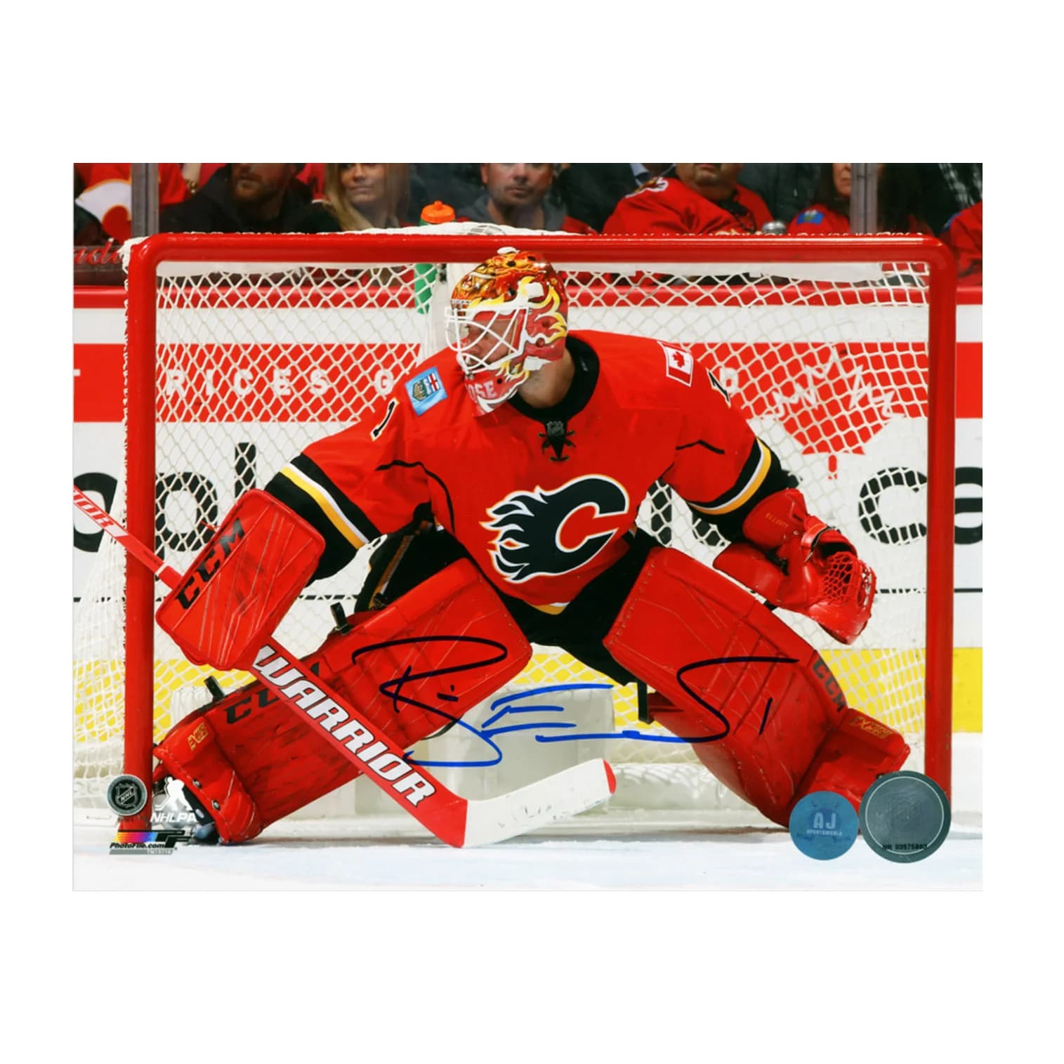 Brian Elliott Calgary Flames Autographed Hockey Goalie 8x10 Photo Brian Elliott Photo 8x10-hockey-goalie, Calgary Flames, supplier stock photo