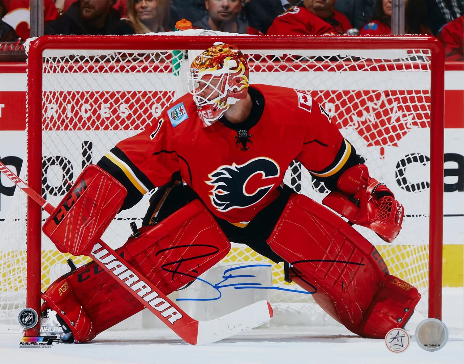 Brian Elliot Signed Calgary Flames Goalie 11x14 Photo Brian Elliott Photo 11x14-brian-elliot-calgary-flames-goalie, Calgary Flames, supplier stock photo