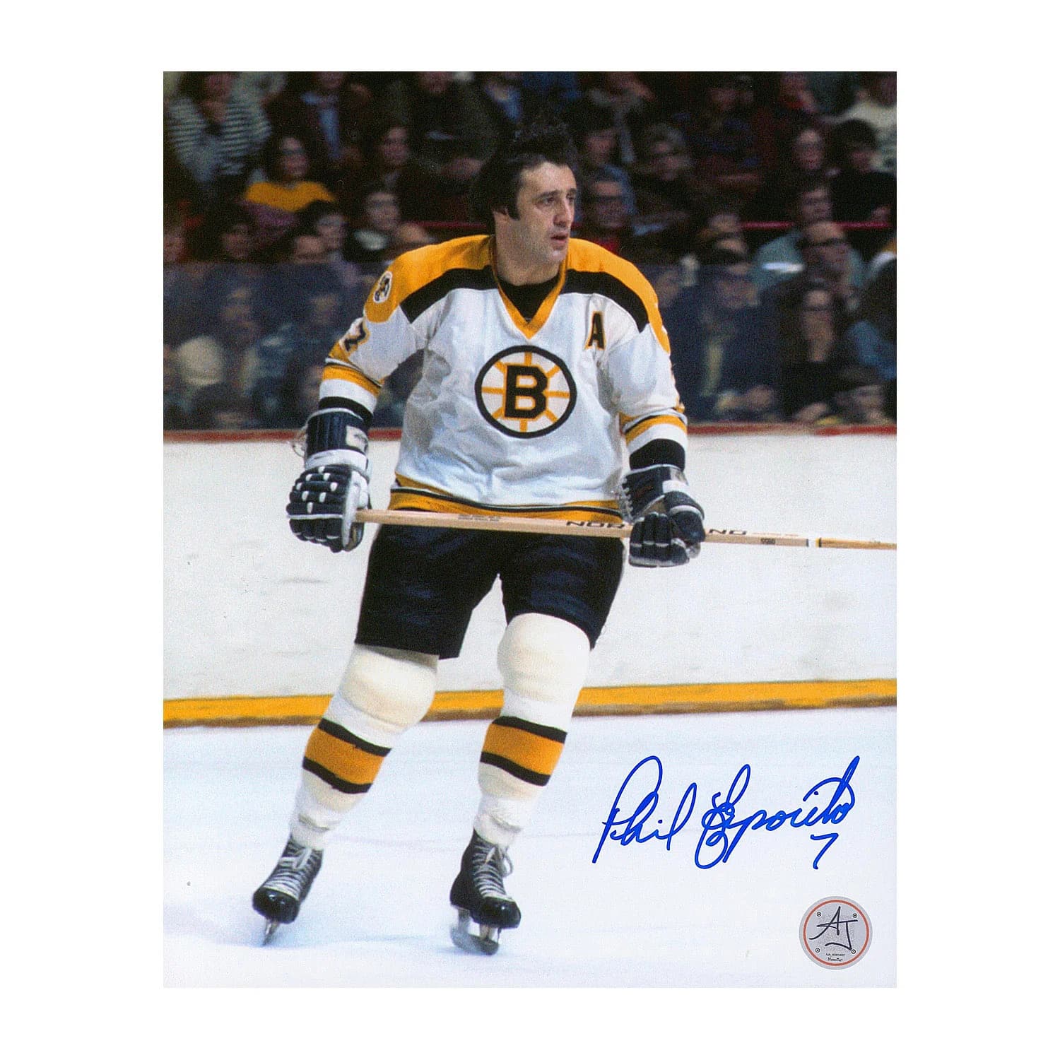 Phil Esposito Autographed Boston Bruins Hockey 8x10 Photo Phil Esposito Photo 8x10-hockey, Boston Bruins, supplier stock photo