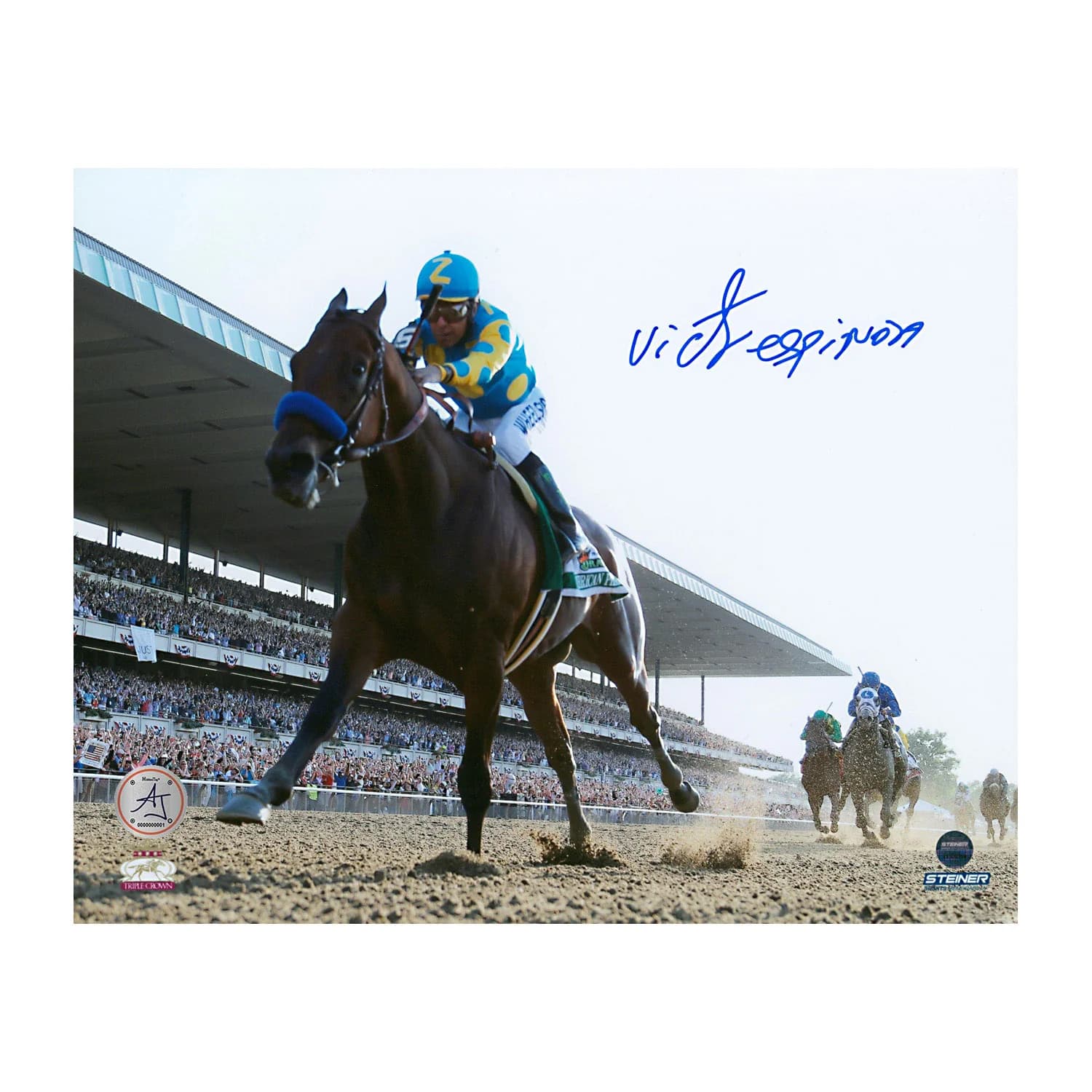 Victor Espinoza Signed American Pharoah Belmont Stakes Triple Crown 8x10 Photo Victor Espinoza Photo 8x10-american-pharoah-belmont-stakes-triple, supplier stock photo