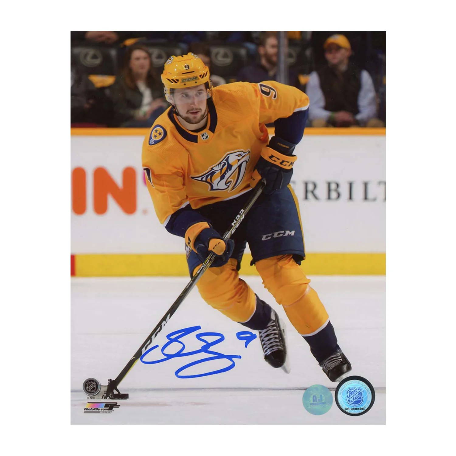 Filip Forsberg Autographed Nashville Predators Hockey 8x10 Photo Filip Forsberg Photo 8x10-hockey, Nashville Predators, supplier stock photo