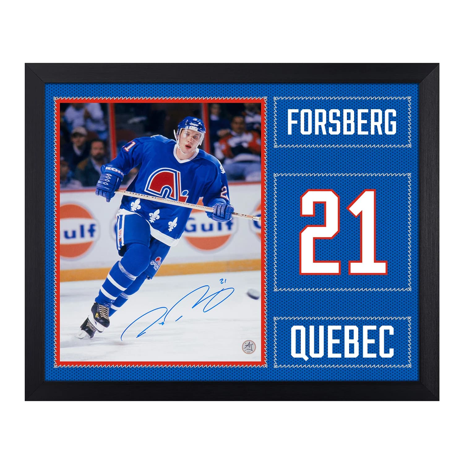 Peter Forsberg Signed Quebec Nordiques Uniform Graphic 19x23 Frame Peter Forsberg Jersey 19x23-quebec-nordiques-uniform-graphic-frame, supplier stock photo