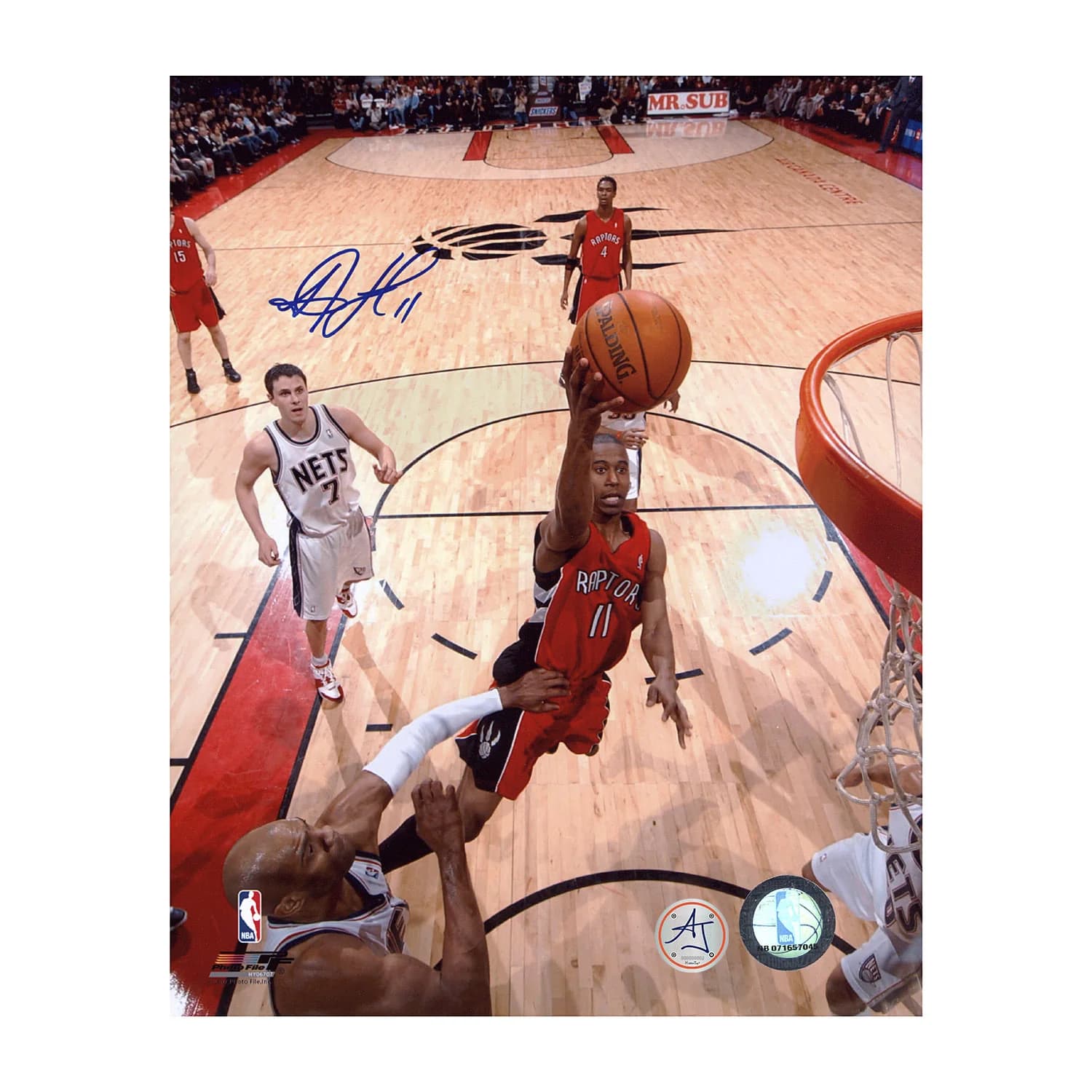 TJ Ford Autographed Toronto Raptors Basketball Net Cam 8x10 Photo TJ Ford Photo 8x10-toronto-raptors-basketball-net-cam, supplier stock photo