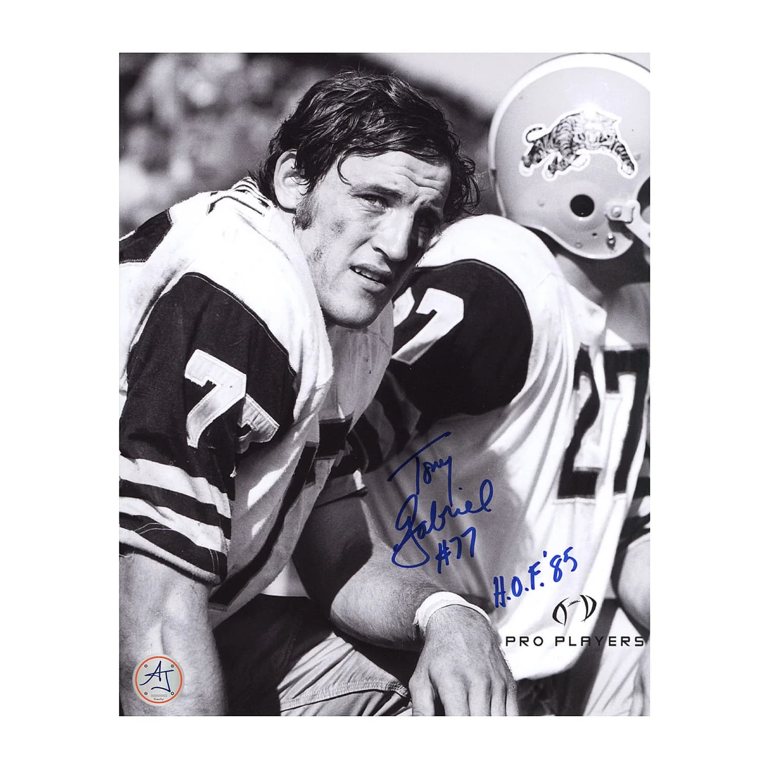 Tony Gabriel Autographed Hamilton Tiger-Cats Football 8x10 Photo Tony Gabriel Photo 8x10-hamilton-tiger-cats-football, supplier stock photo